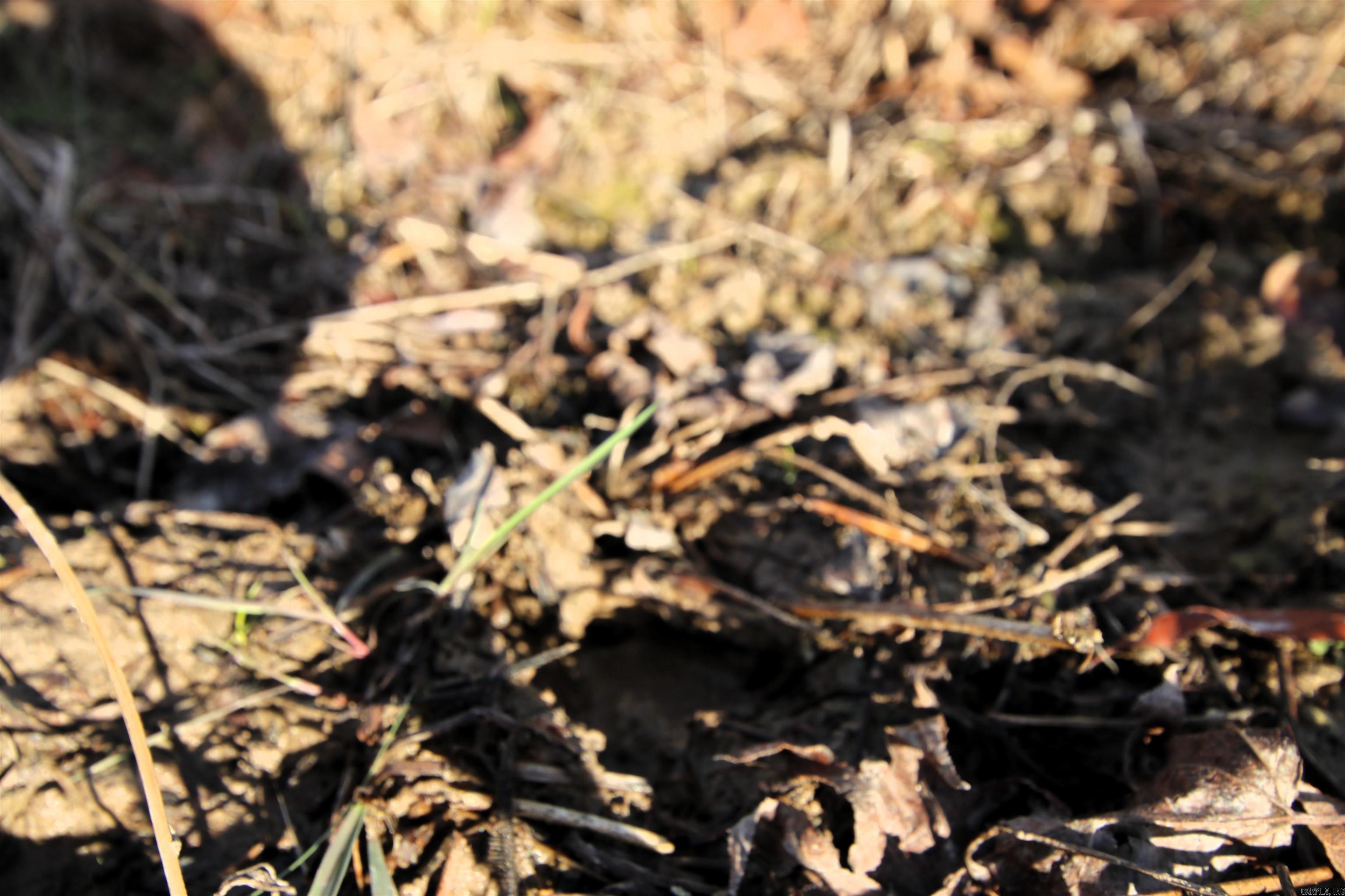 Not in Subdivision - Land