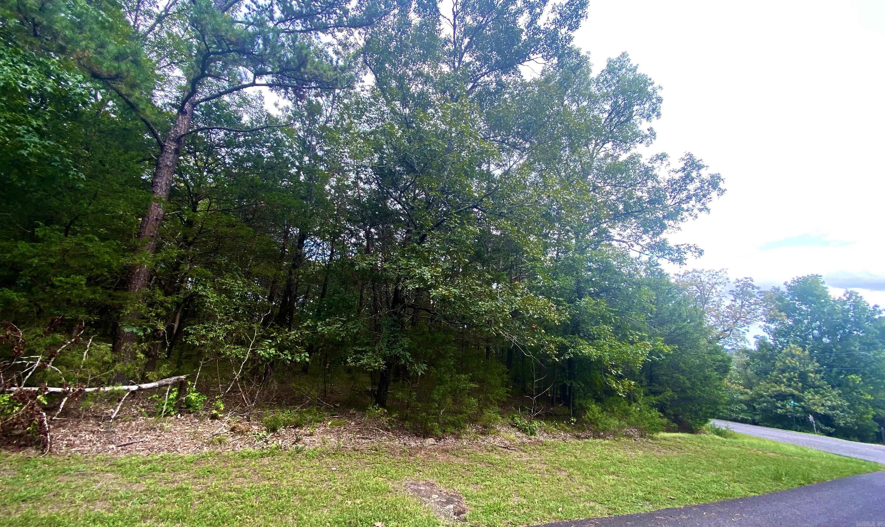 Driftwood Shores Estate - Land