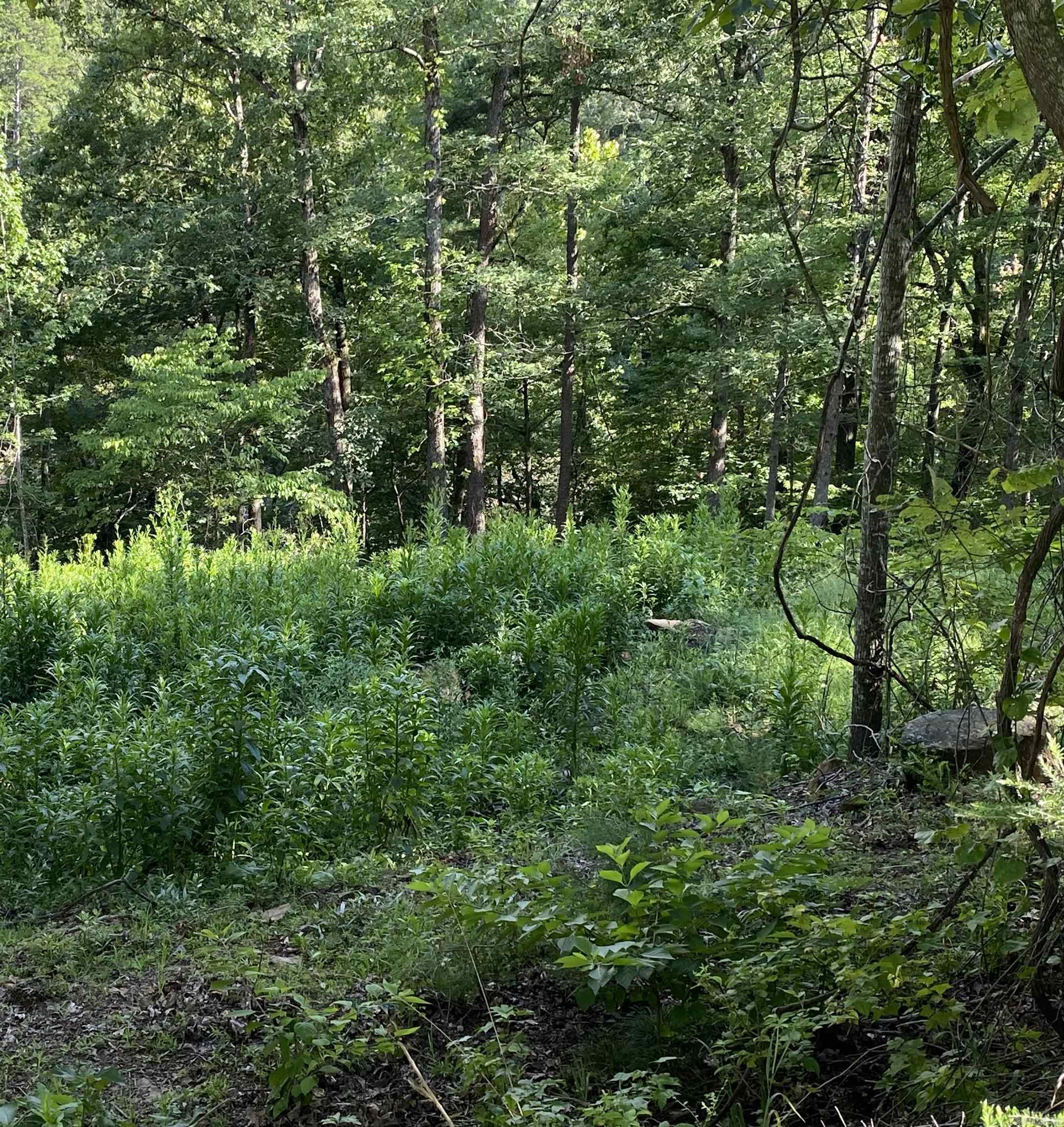 Driftwood Shores Estate - Land