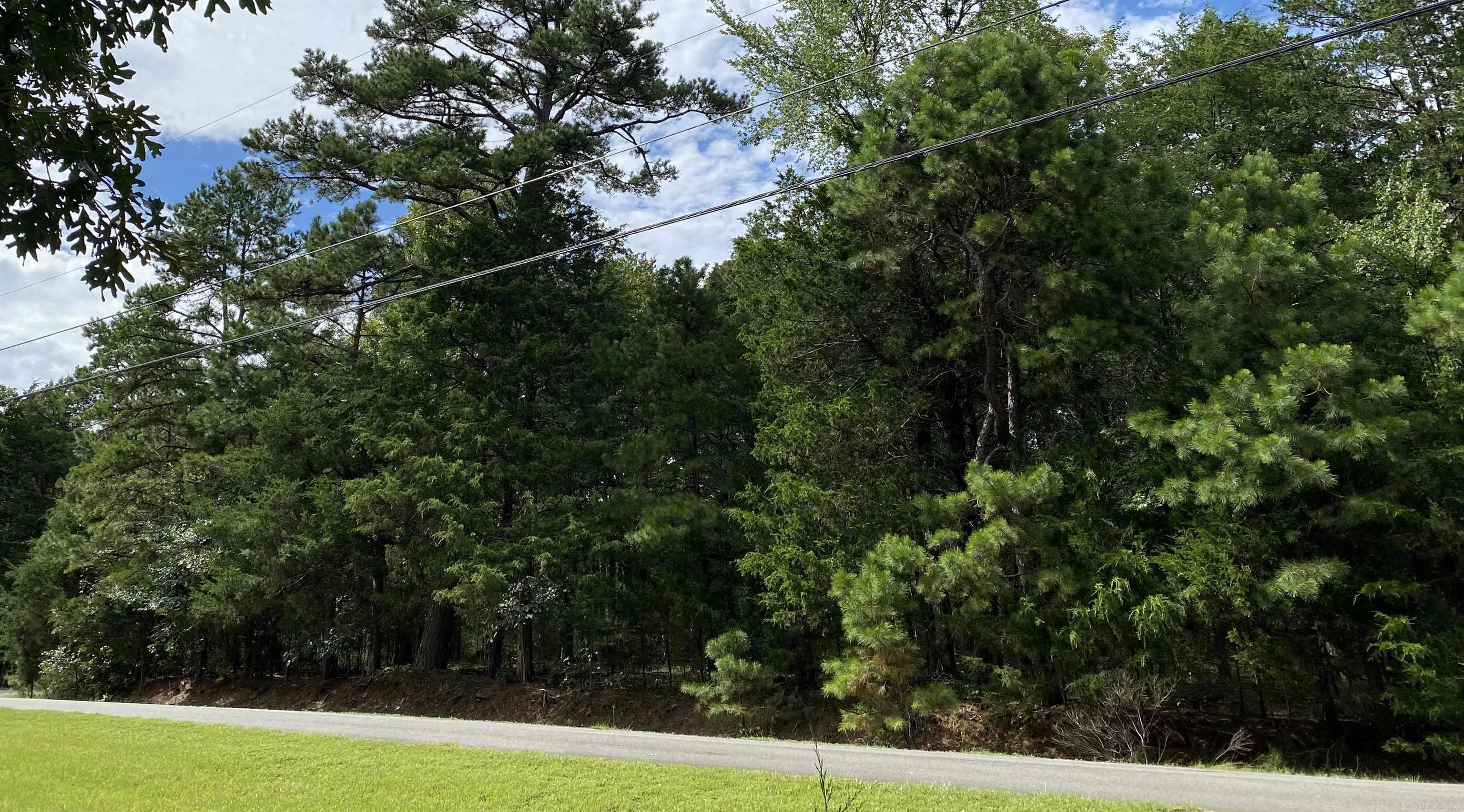 Driftwood Shores Estate - Land