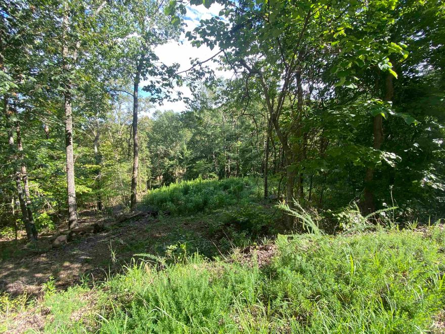 TWO LOTS IN DRIFTWOOD SHORE ESTATES WITH A BOAT SLIP IN THE COMMUNITY DOCK!  Here is your opportunity to build two houses next to each other for you and your family or friends, with a boat slip!  Or just build your own dream home, on almost 1 total acre, using both lots.  Only 2.2 driving miles to Fairfield Bay Marina, and just minutes to the golf courses, restaurants, shopping, bowling and miles of ATV/UTV trails in Fairfield Bay.  The lots have been perked, and the septic permit is on file with the VBC Health Department. The lots have not been replatted, thus allowing the two building sites.  Agents, please see remarks.