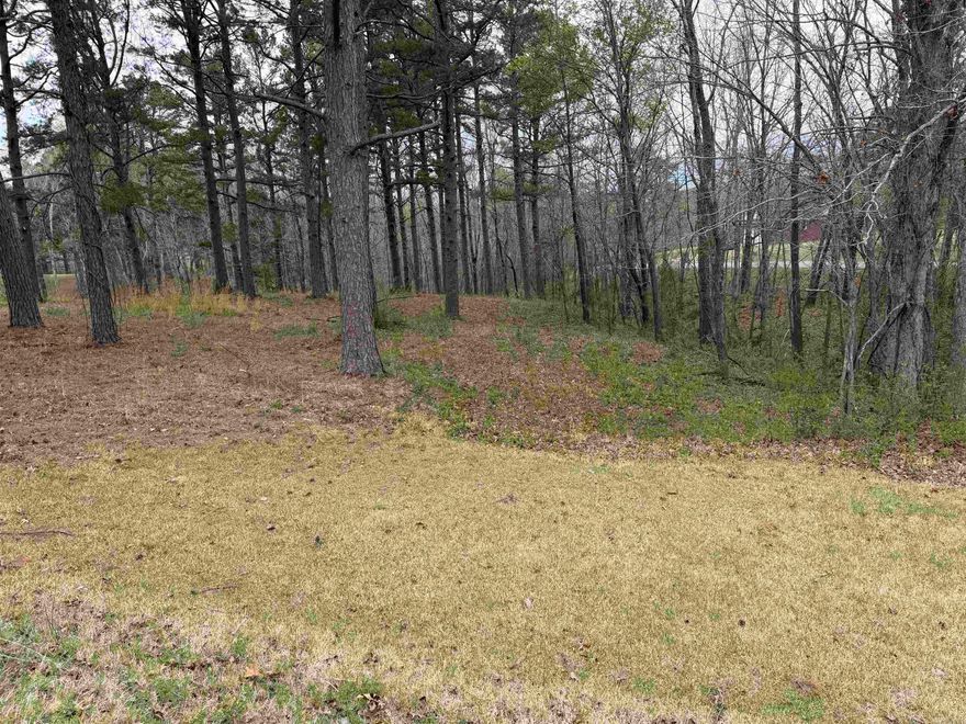 Build your dream home on this beautiful 0.88-acre lot located in one of Mountain View’s newer golf course subdivisions—inside city limits. Situated in a neighborhood of attractive, well-kept homes, this lot offers a peaceful setting with a scenic backdrop and plenty of space to design the home you’ve been dreaming of. Enjoy the convenience of city living while still having a quiet, country feel. Just minutes from downtown, local attractions, and outdoor recreation, this is a great opportunity in a sought-after area.