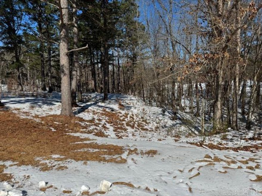 Build your dream home on this beautiful 0.88-acre lot located in one of Mountain View’s newer golf course subdivisions—inside city limits. Situated in a neighborhood of attractive, well-kept homes, this lot offers a peaceful setting with a scenic backdrop and plenty of space to design the home you’ve been dreaming of. Enjoy the convenience of city living while still having a quiet, country feel. Just minutes from downtown, local attractions, and outdoor recreation, this is a great opportunity in a sought-after area.