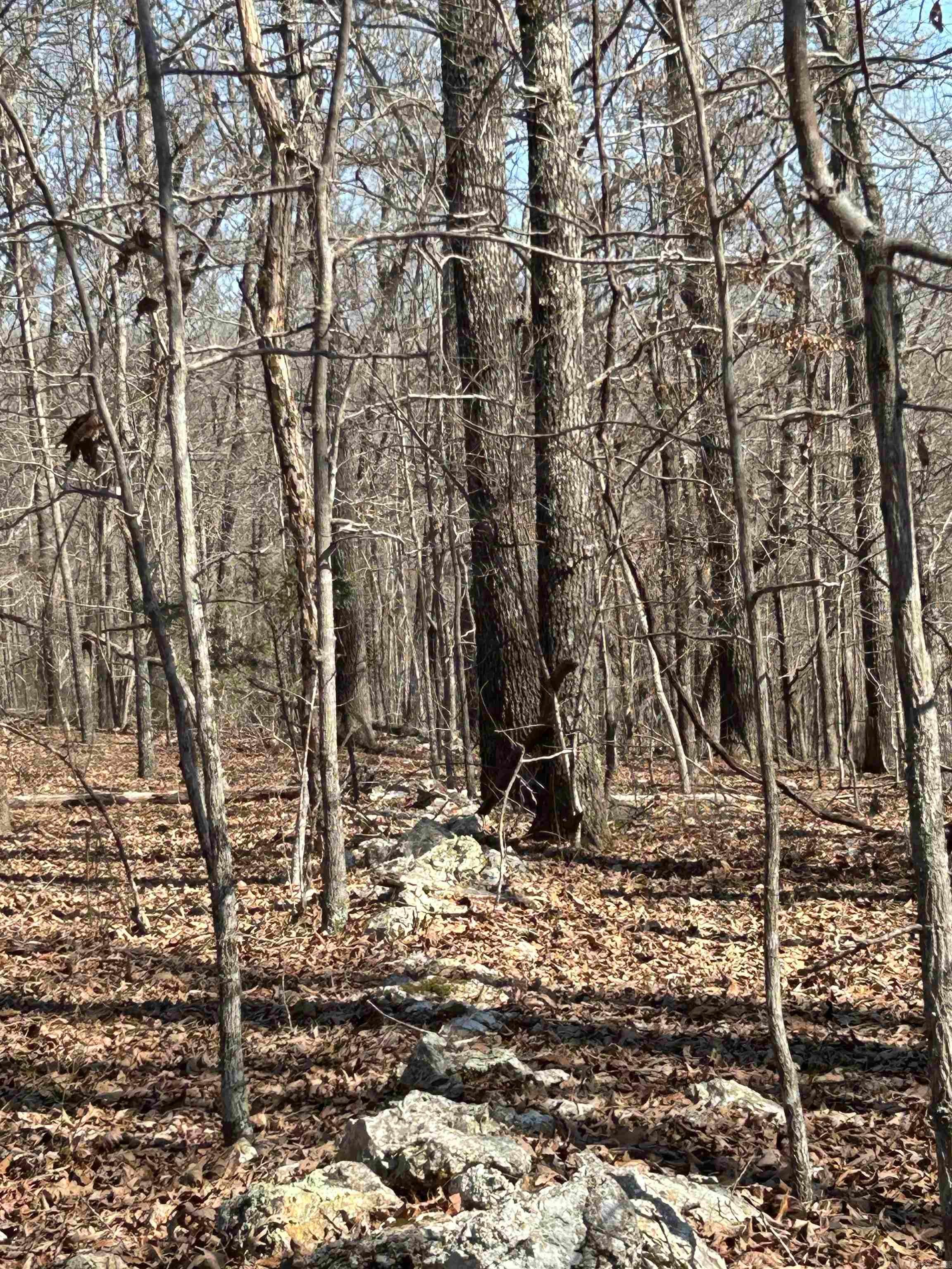 Metes & Bounds - Land