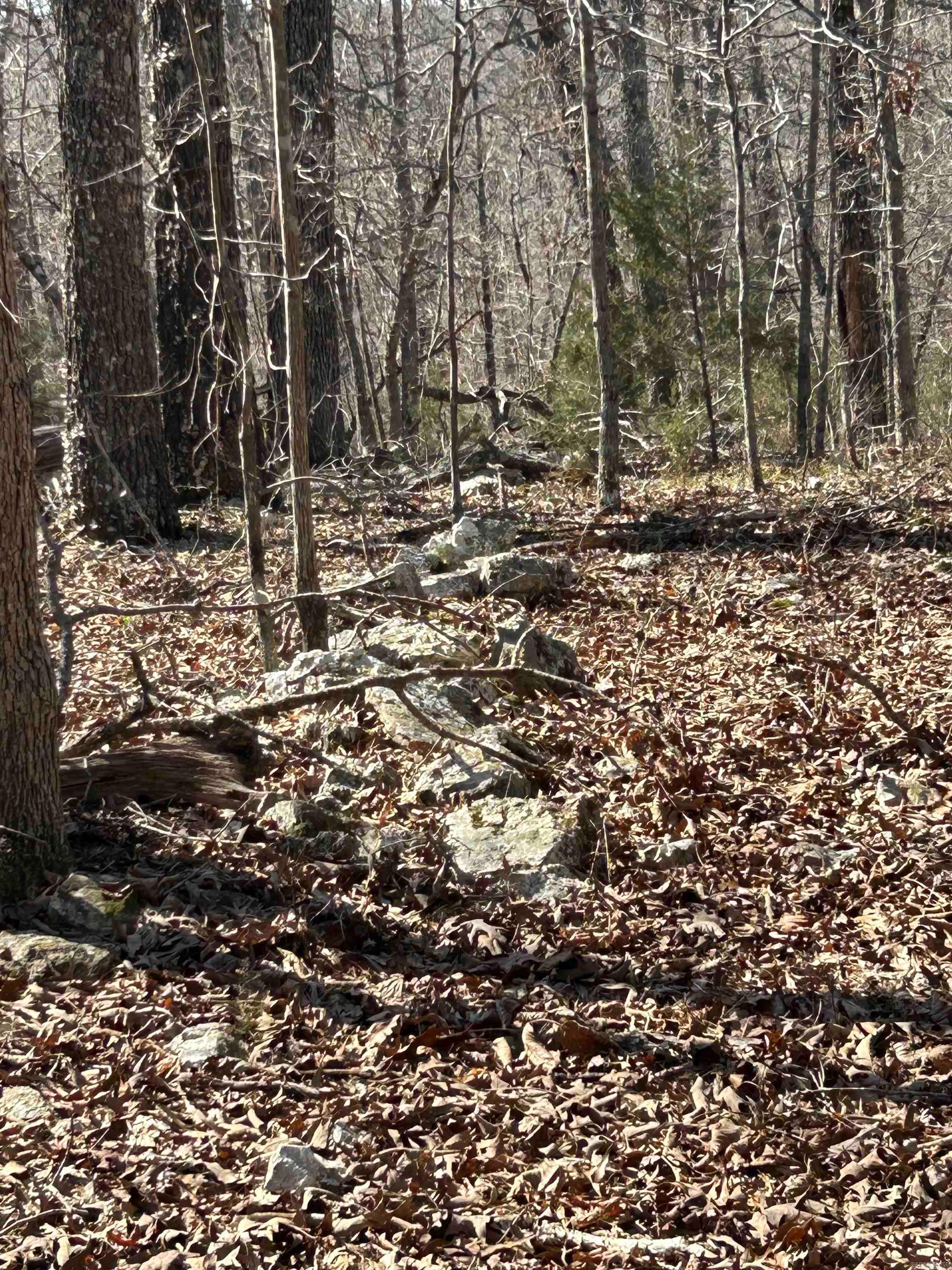 Metes & Bounds - Land