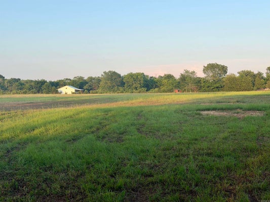 19 SAWMILL RD, VILONIA, AR 72173 - Image 70fbfd7e2f444738c7e2c73d3c9c0ef1/1226910089