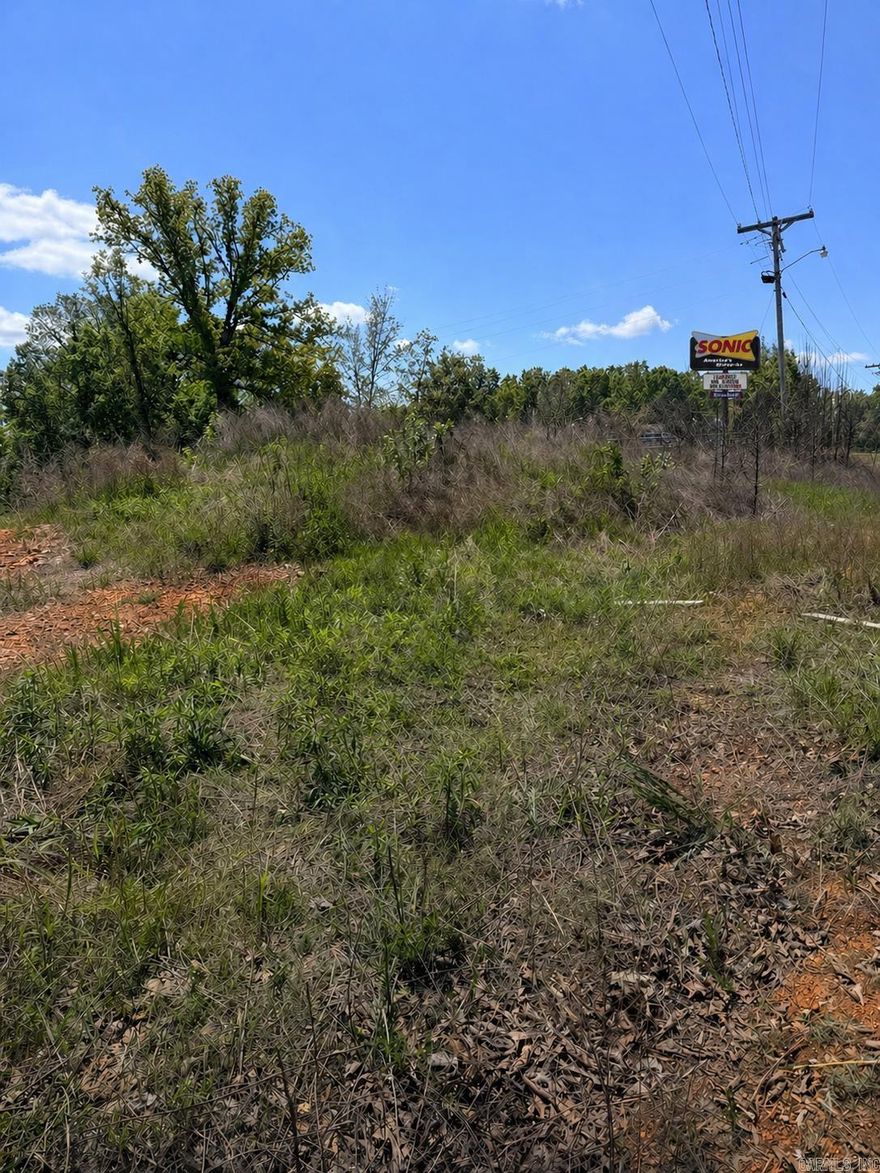 LOCATION! LOCATION! LOCATION! Commercial Property in a Great Location and on HIGH GROUND! This 2 +/- acre commercial land sits on U. S. Highway 62-412 just across from the Ash Flat Walmart, and next to Sonic.  Surrounded by lots of businesses. The fire department is located just behind the property. HUGE potential.