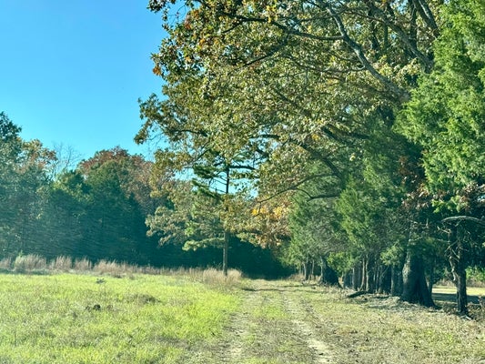 150 HOLLOWAY LN, GREENBRIER, AR 72058 - Image 7121ffb2d4487f91254976b102be3ca2/2802382183