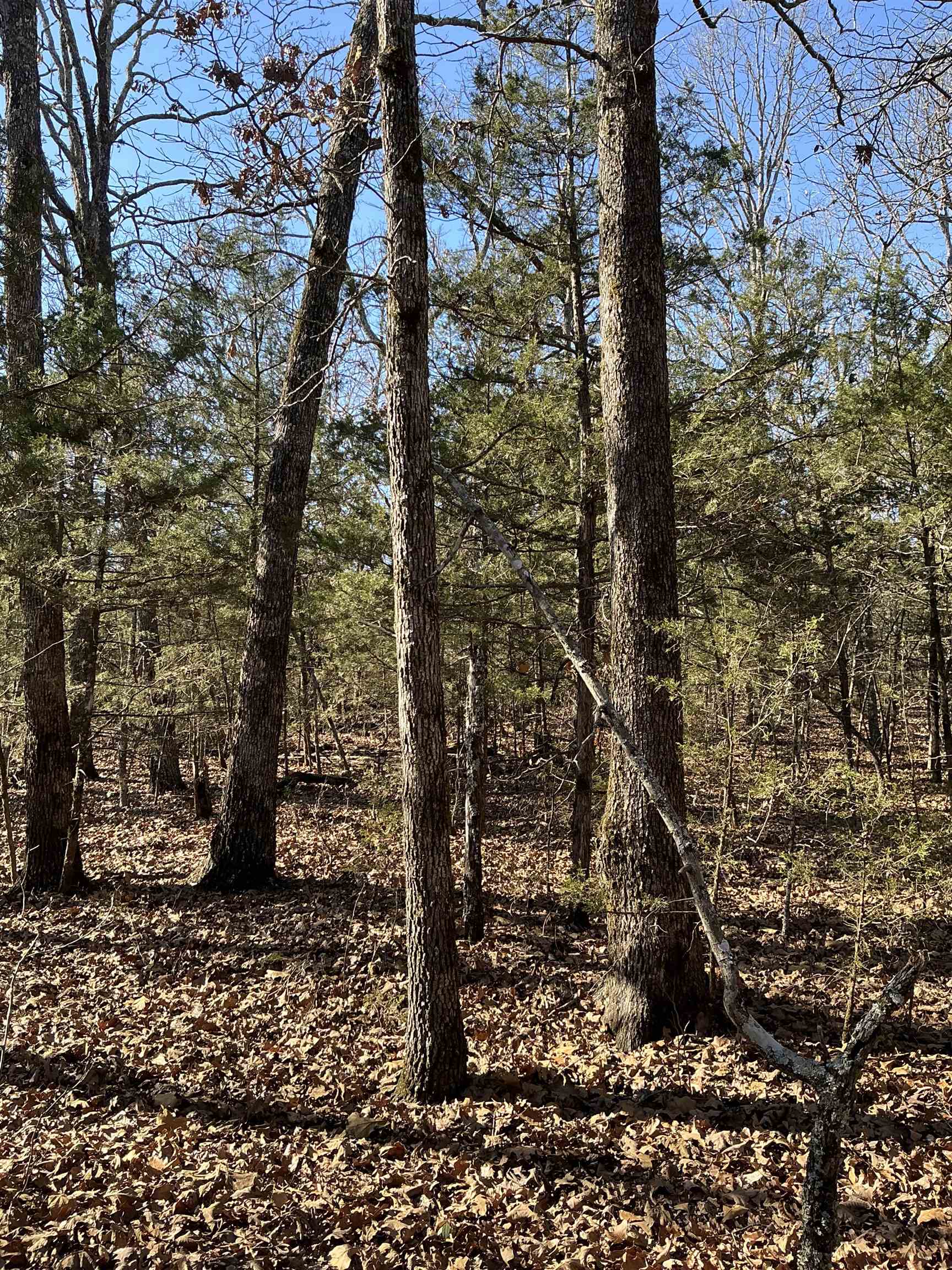 Wolf Hollow Unit 3 - Land