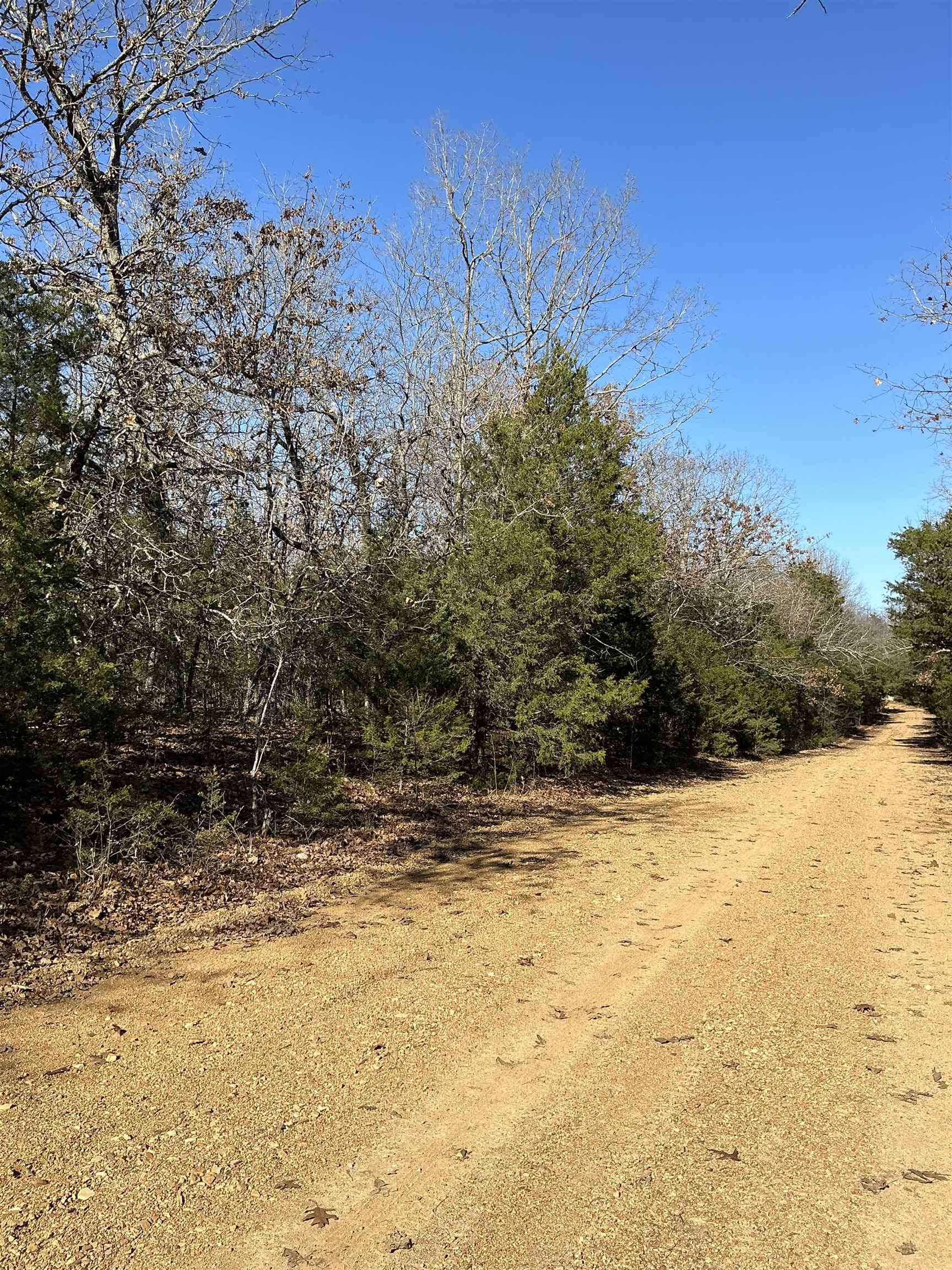 Wolf Hollow Unit 3 - Land