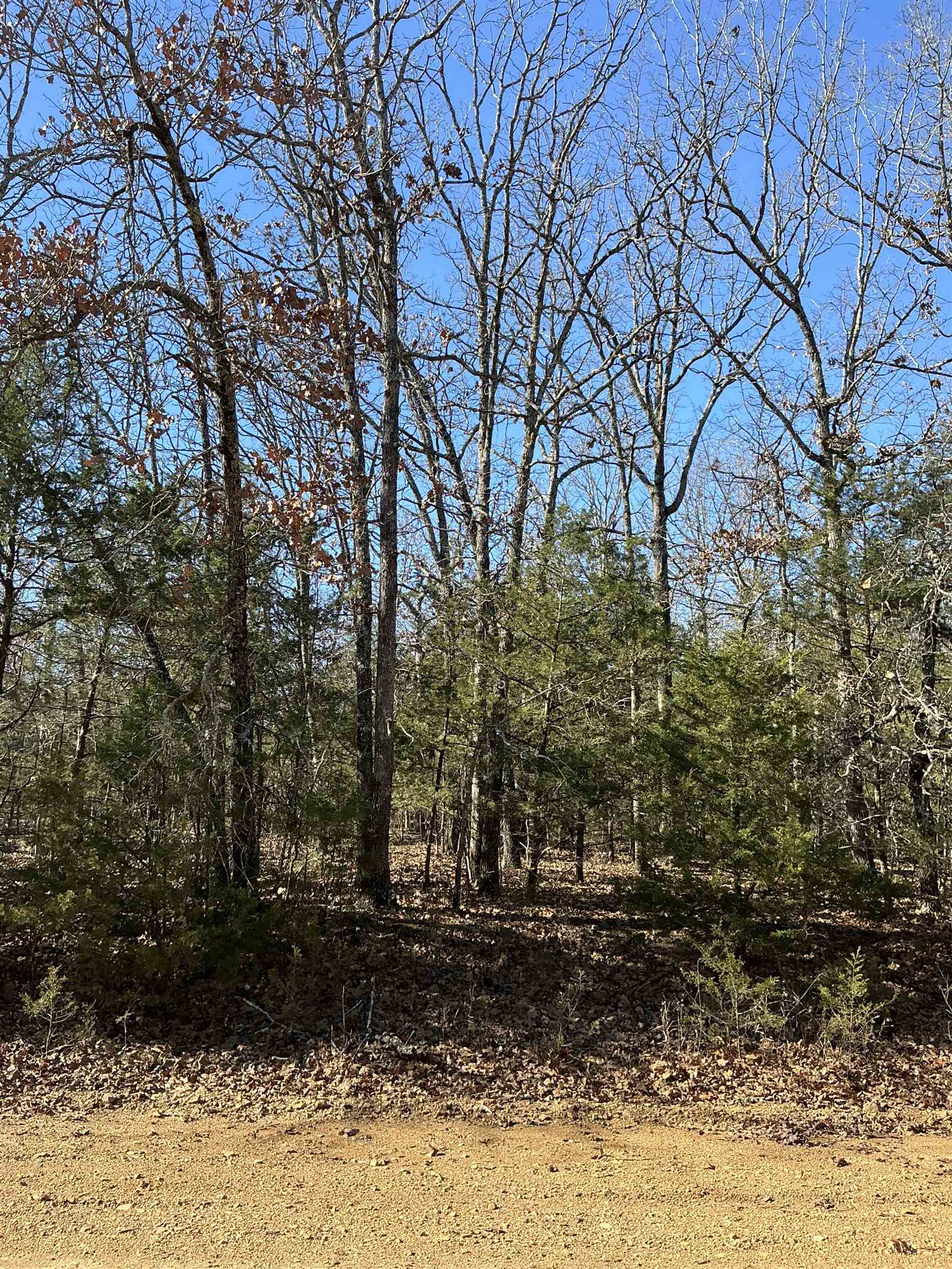 Discover the perfect slice of nature with this 5-acre m/l wooded parcel in Wolf Hollow subdivision. Located on a county-maintained gravel road, this property offers plenty of privacy and abundant wildlife. Utilities are available nearby but not currently on the property, offering flexibility in development. Enjoy the benefits of a quiet, rural environment while remaining close to the city of Ash Flat for convenient access to amenities.