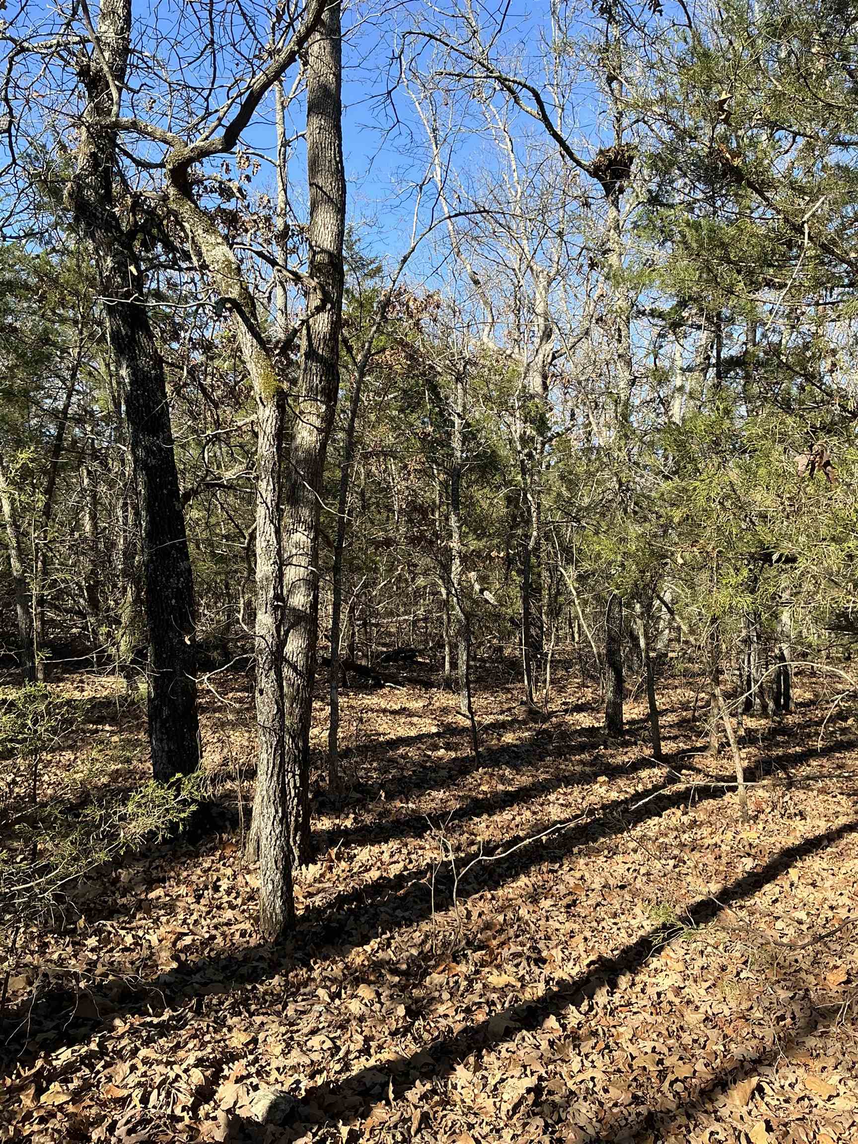 Wolf Hollow Unit 3 - Land