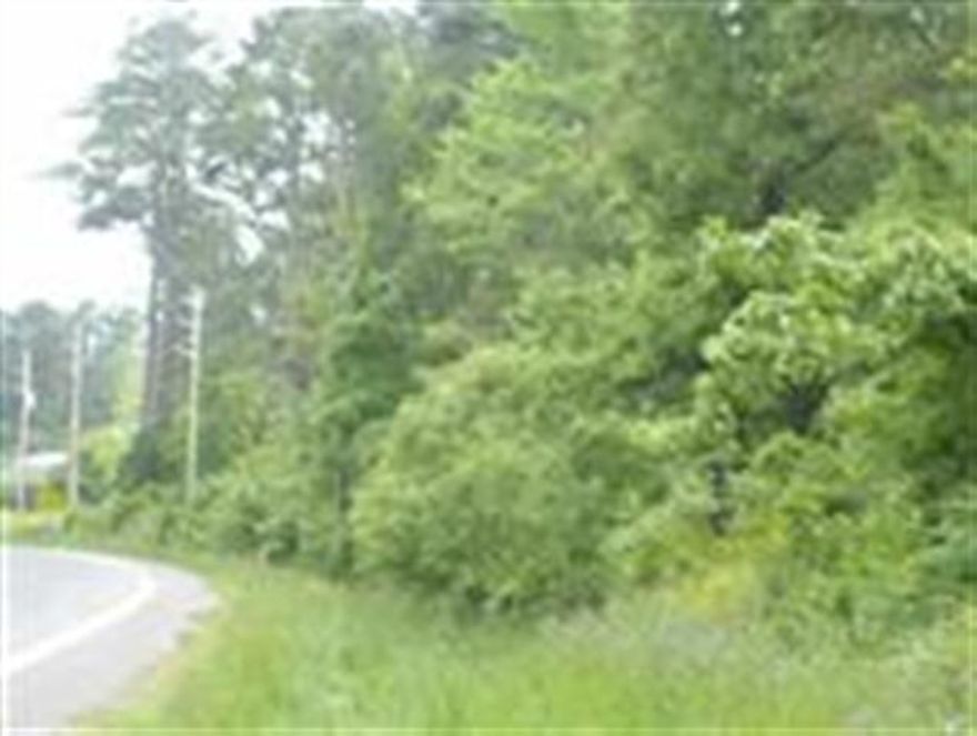 Wonderful view of Mountains, and River. This property is priced to sell, there are  over 10 acre of land, so let your imagination run wild, a beautiful place to build your dream home, and take advantage of the view of Mountains, add a gate and voila an estate sized lot with a level building spot at the top ......or use  the over 10 acres to start a business. The possibilities are endless  .Priced to sell, or buy for future investment.