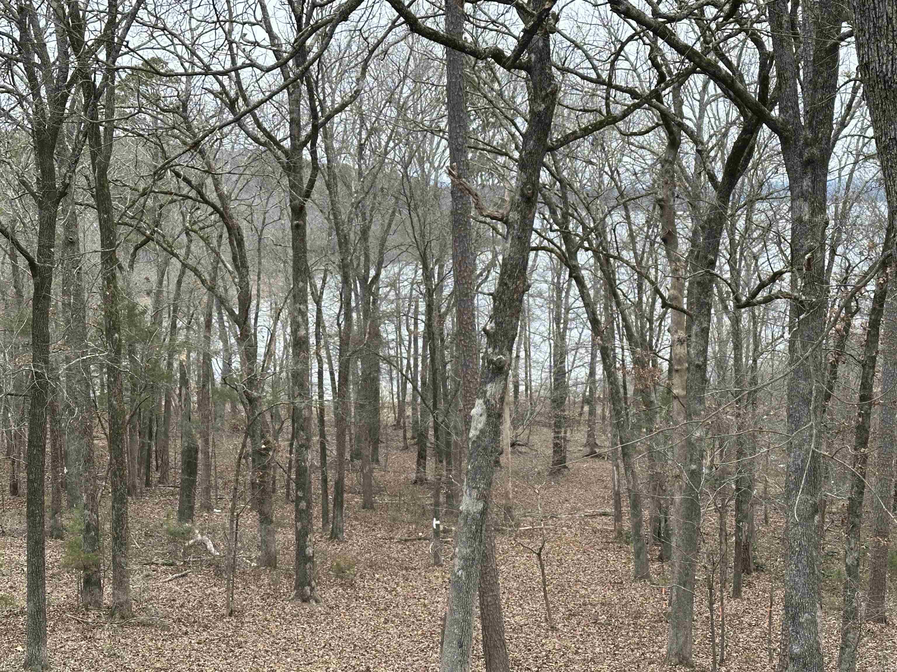 Greers Ferry Lake Lot located just down the street from Heber Springs Recreation Area and Marina. The location does not get much better. Quiet established subdivision, 5 min drive to downtown Heber Springs. Minimum home size 1100 SF. Available utilities : electric, natural gas, city water, internet & cable (no City sewer available). Lake frontage located in Beloit Bay cove.