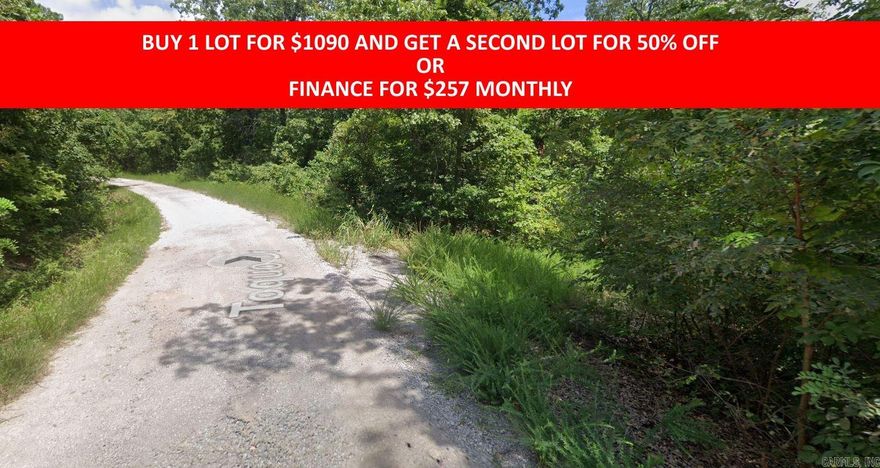 Buy one lot and get 50% off an additional lot! Part of a set of adjoining lots available. Owner-finance for easy terms. Cash buyers can pay by debit or credit card as well. Nice lot to develop or hold for future value. Public water and electric are available to run to property and will need septic. Owner/agent. No mobiles allowed. 300-2500 minimum build size on any other type of home, depending on subdivision. Finance is 5 months at $257 and closing costs are included. Buyer responsible for any back, current and future taxes owed on this property. Lots marked with red banner are part of promotion. No limit on lots. Buyer responsible for any/all taxes and lots sold "as-is". Quit claim deed conveys. Parcel ID# 200-13758-000