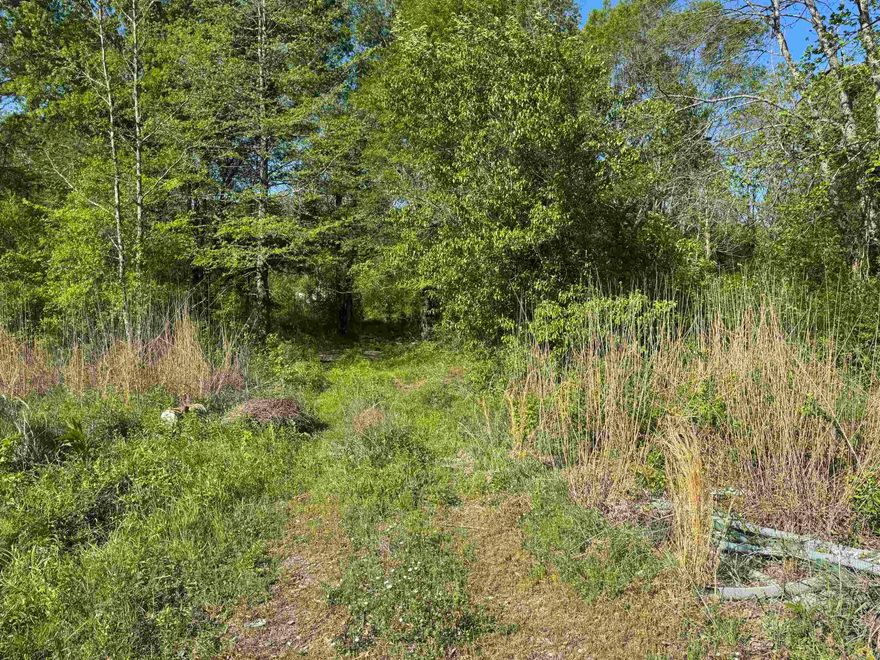 5 acres on a quiet country road. Outside city limits. Ready for your future farm or forever home. Utilities at the street. Area is approved for mobiles. The options are endless.