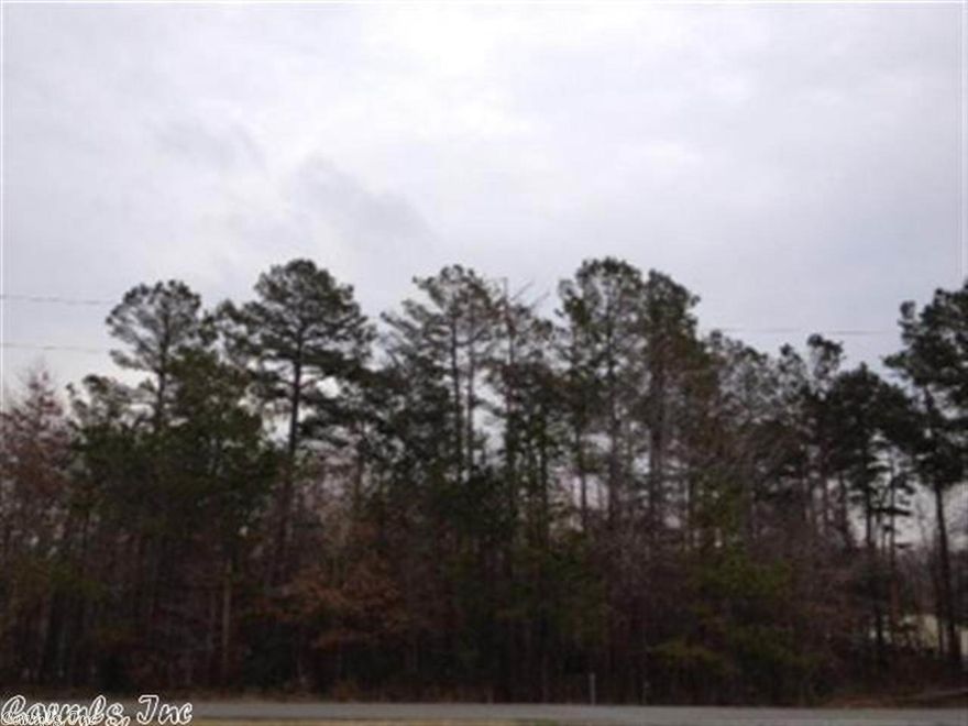 Great 1 acre lot to build a home.  Wooded.  Great neighborhood. Very kid friendly.  Take a look.