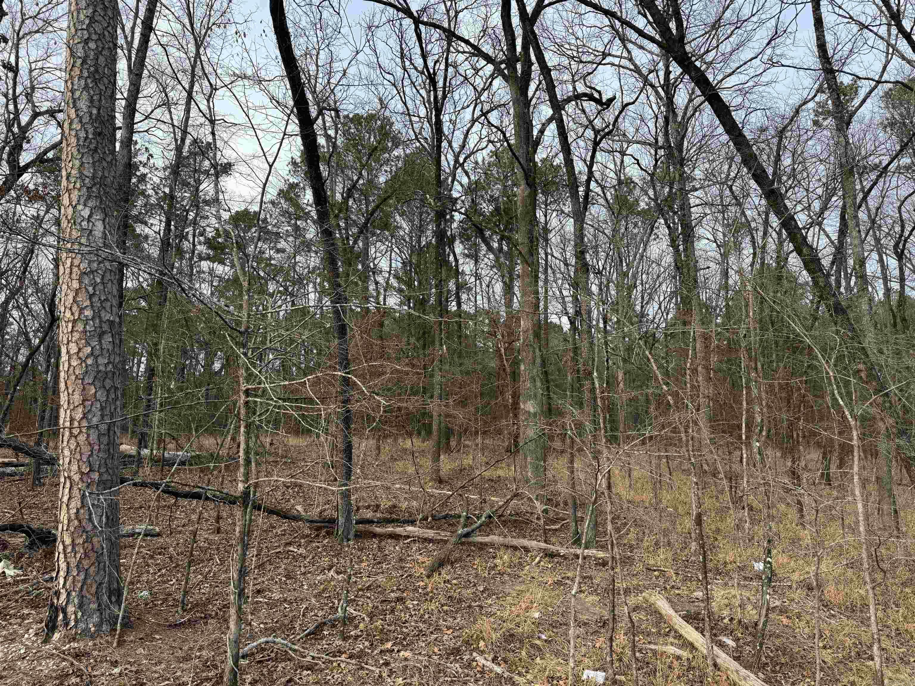 Severn Landing @ Hurricane Lake - Residential