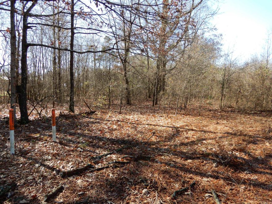 With few neighbors lots of trees land would make a great spot to build your new home or move in a mobile home. with 13.5 acres there's enough from for a home. shop and some pets/farm animals with no restrictions its open for whatever you want to do. Land would also make a great investment and is priced to sell. also, land has been recently surveyed and includes ingress/egress and utility easements.