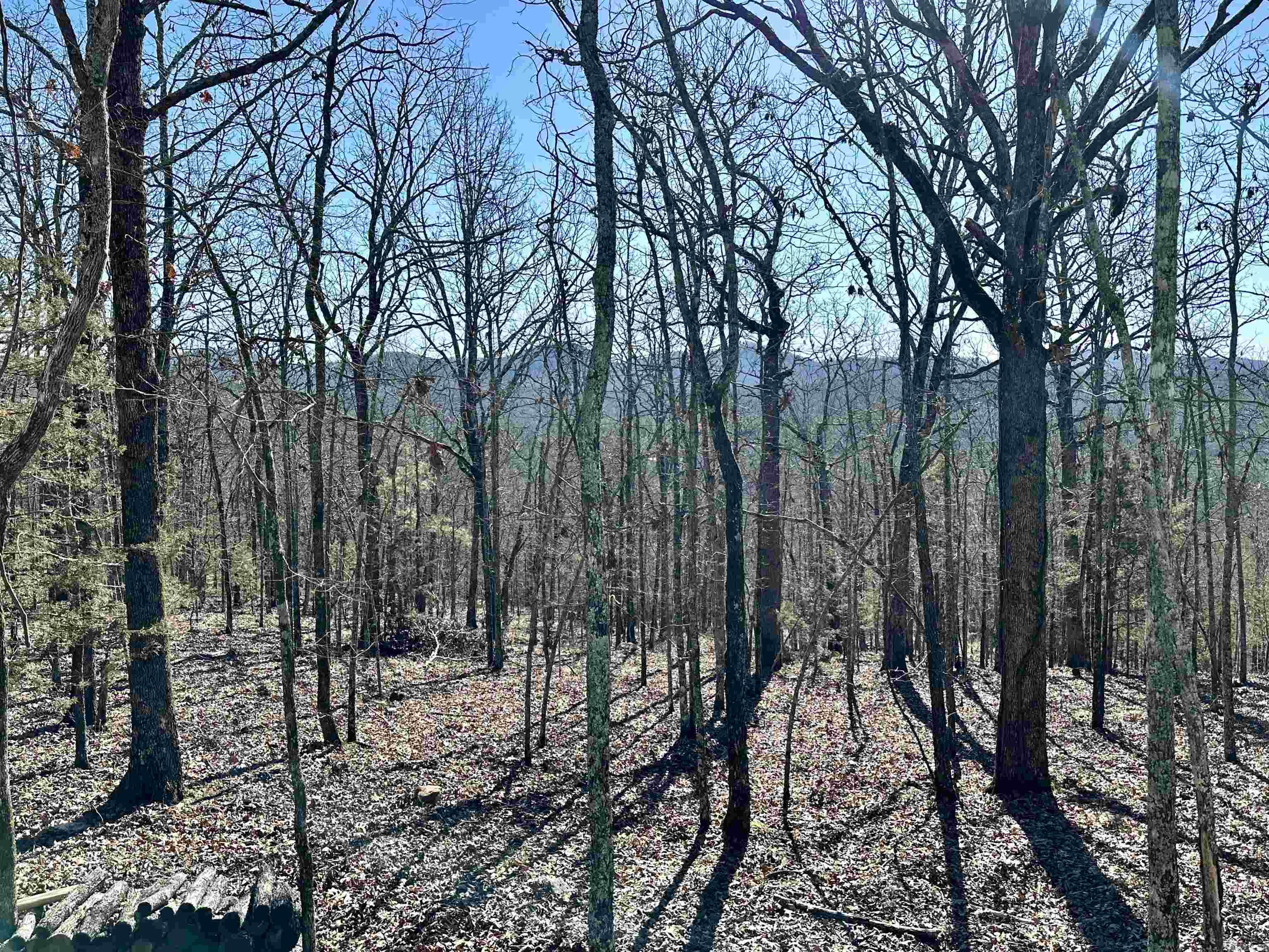 RIPPLIN SHOALS RIDGETOP - Residential