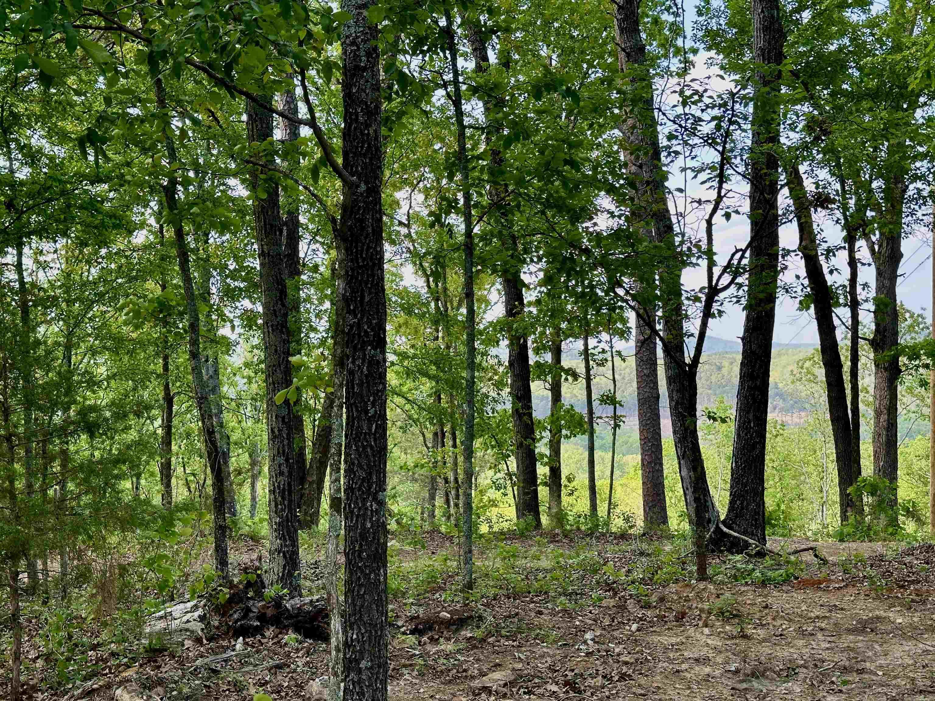 RIPPLIN SHOALS RIDGETOP - Residential