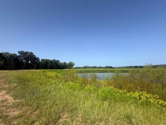 8 RIVER LN, HEBER SPRINGS, AR 72543 - Image 7183ee917558de7d05768fa023b60d3b/293636433