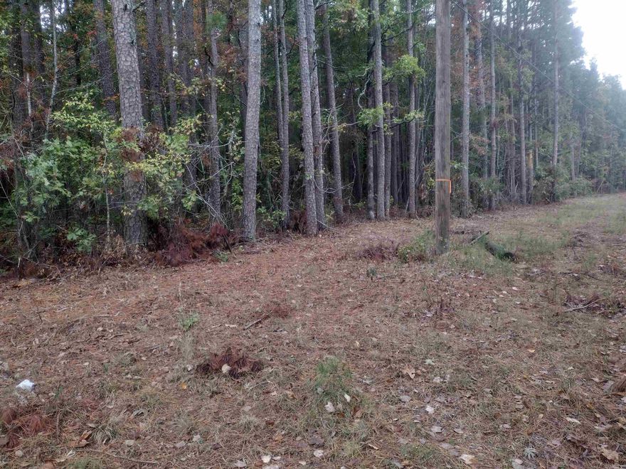 Looking for a very nice piece of property check out this 8.19 acres M/L on Hwy 263 S great place to build new home, getaway cabin close to Greers Ferry and Hill creek boat ramp approx.20 minutes away, lots of wildlife has had a perk test done Hwy Frontage with power and water available.