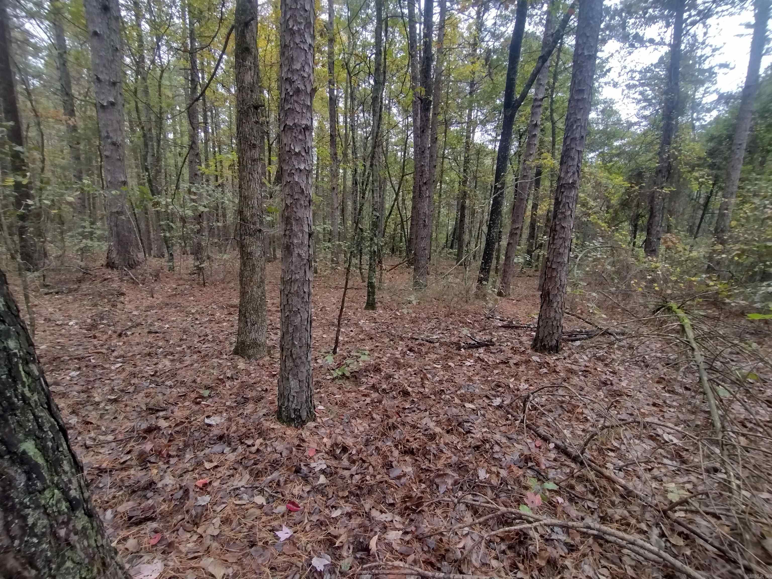 Metes & Bounds - Land