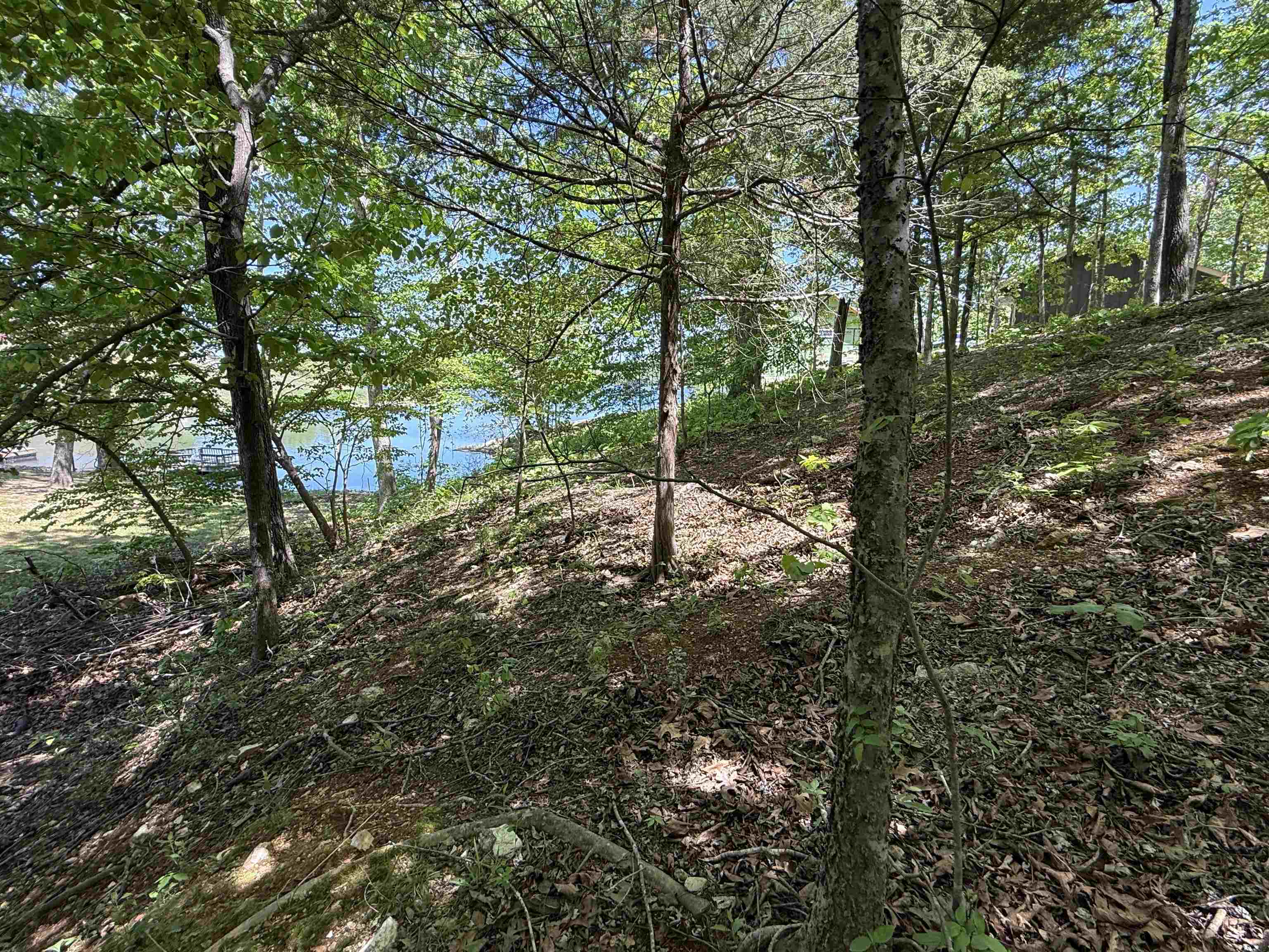 CROWN VIEW - Land