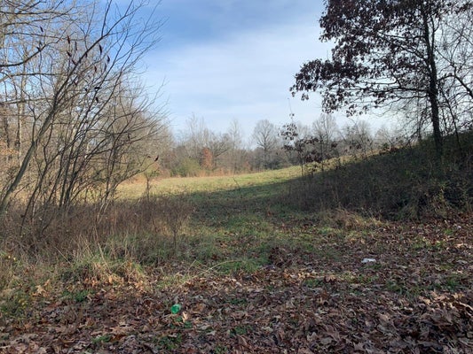 347 CR, PIGGOTT, AR 72454 - Image 7199fee486ee83e683261da44c59db3f/3521810907