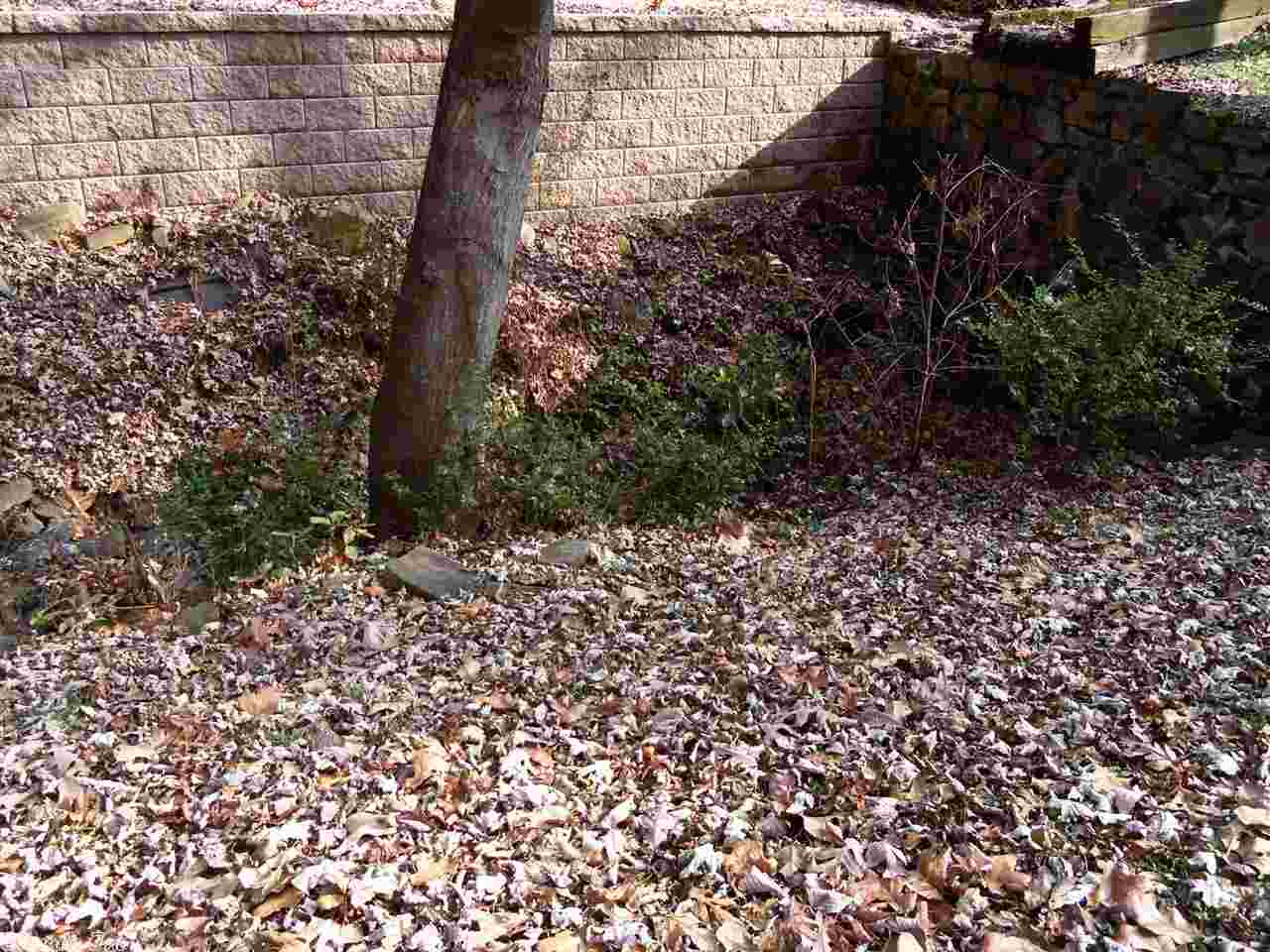 PARK HILL - Residential