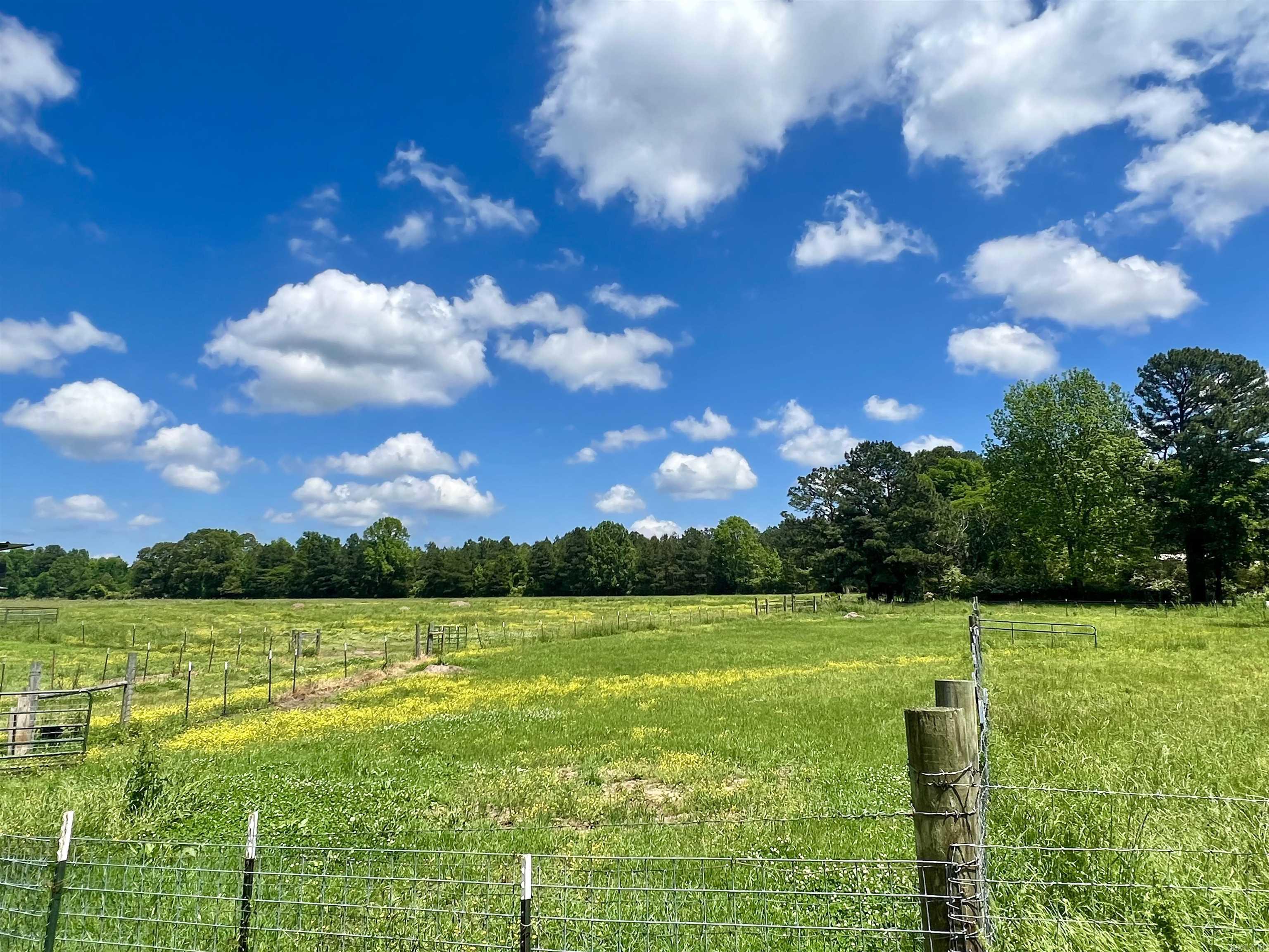 CLYDE ADDITION LONO - Residential