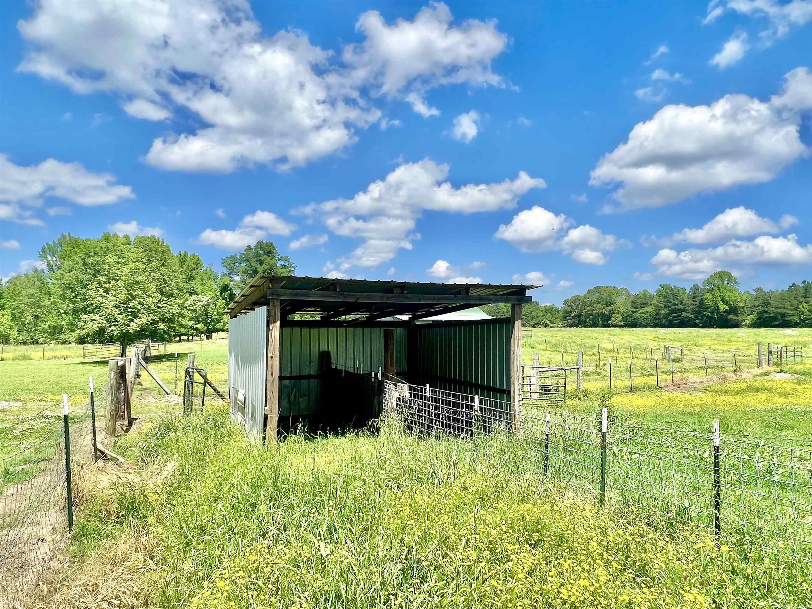 CLYDE ADDITION LONO - Residential