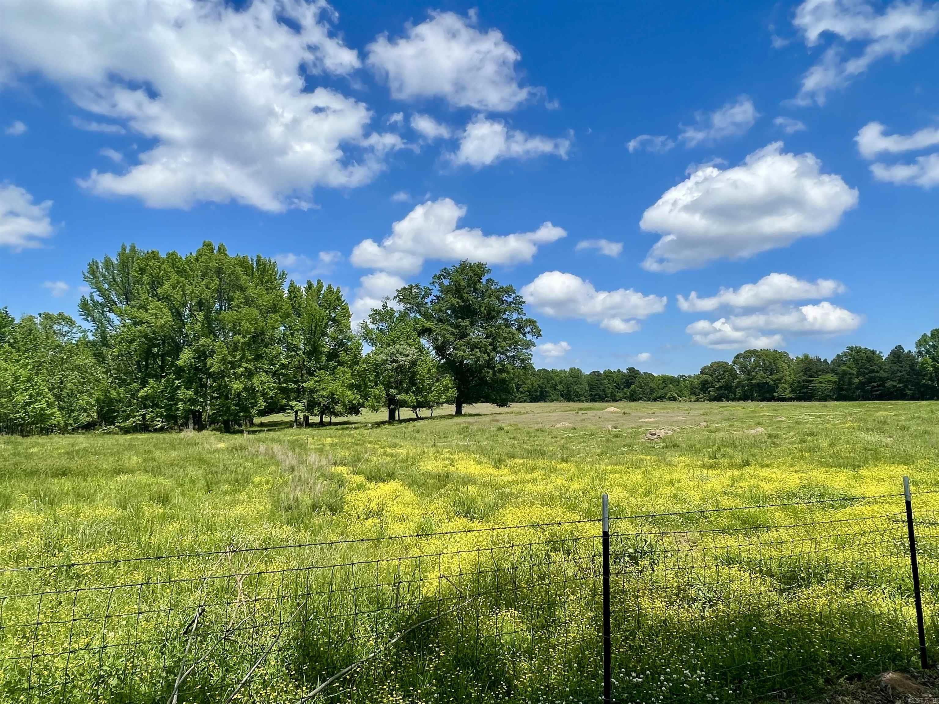 CLYDE ADDITION LONO - Residential