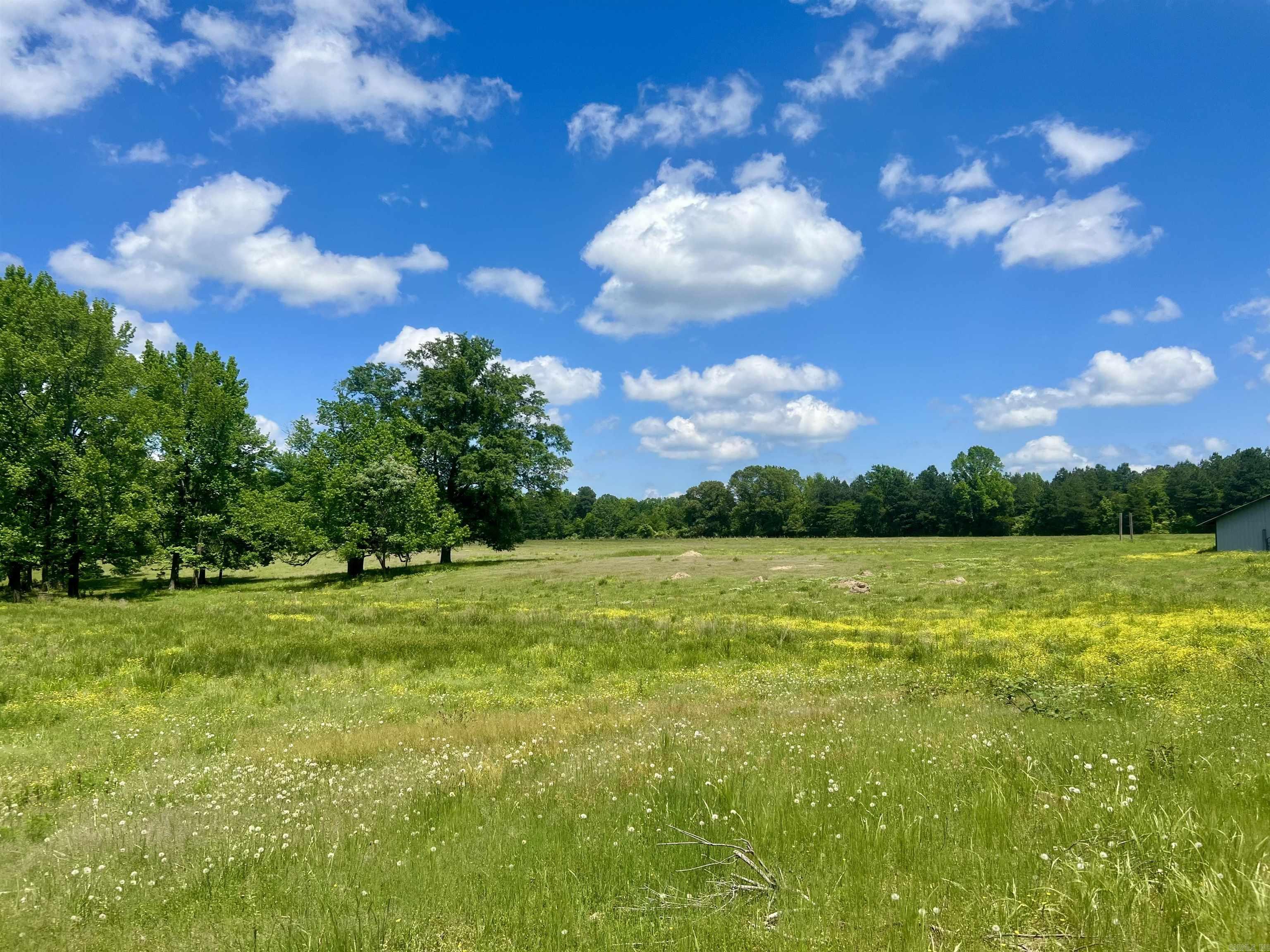 CLYDE ADDITION LONO - Residential