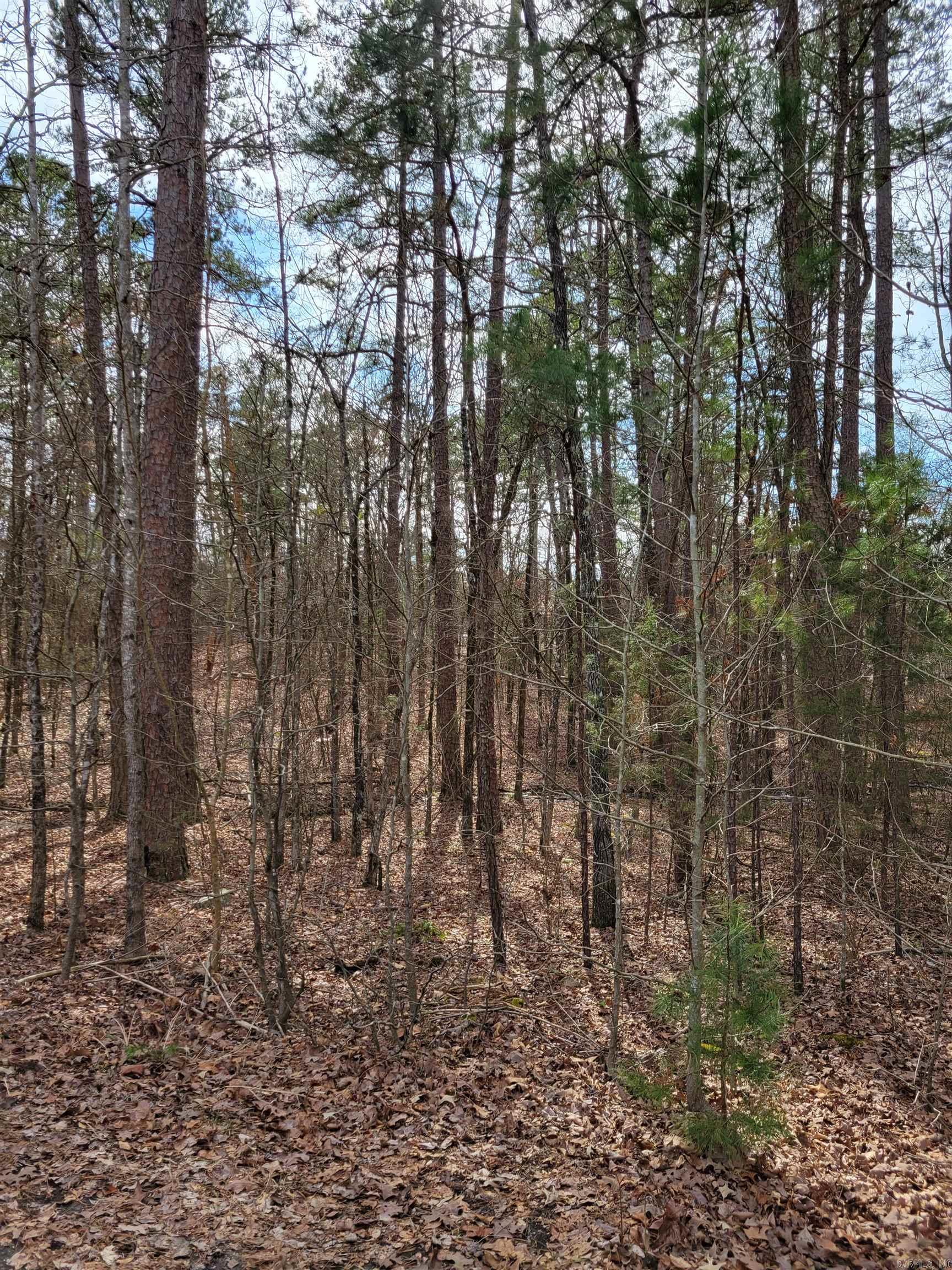 Nice level lot in quiet cul-de-sac with vacant properties on either side in the Lake Balboa neighborhood. Hot Springs Village has a one-time buy-in fee of $1,500.($450 on vacant lot with the balance paid when a home is constructed)