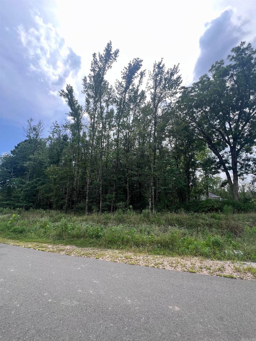 Gorgeous curved lot in the highly sought after Hazel Oaks Subdivision.