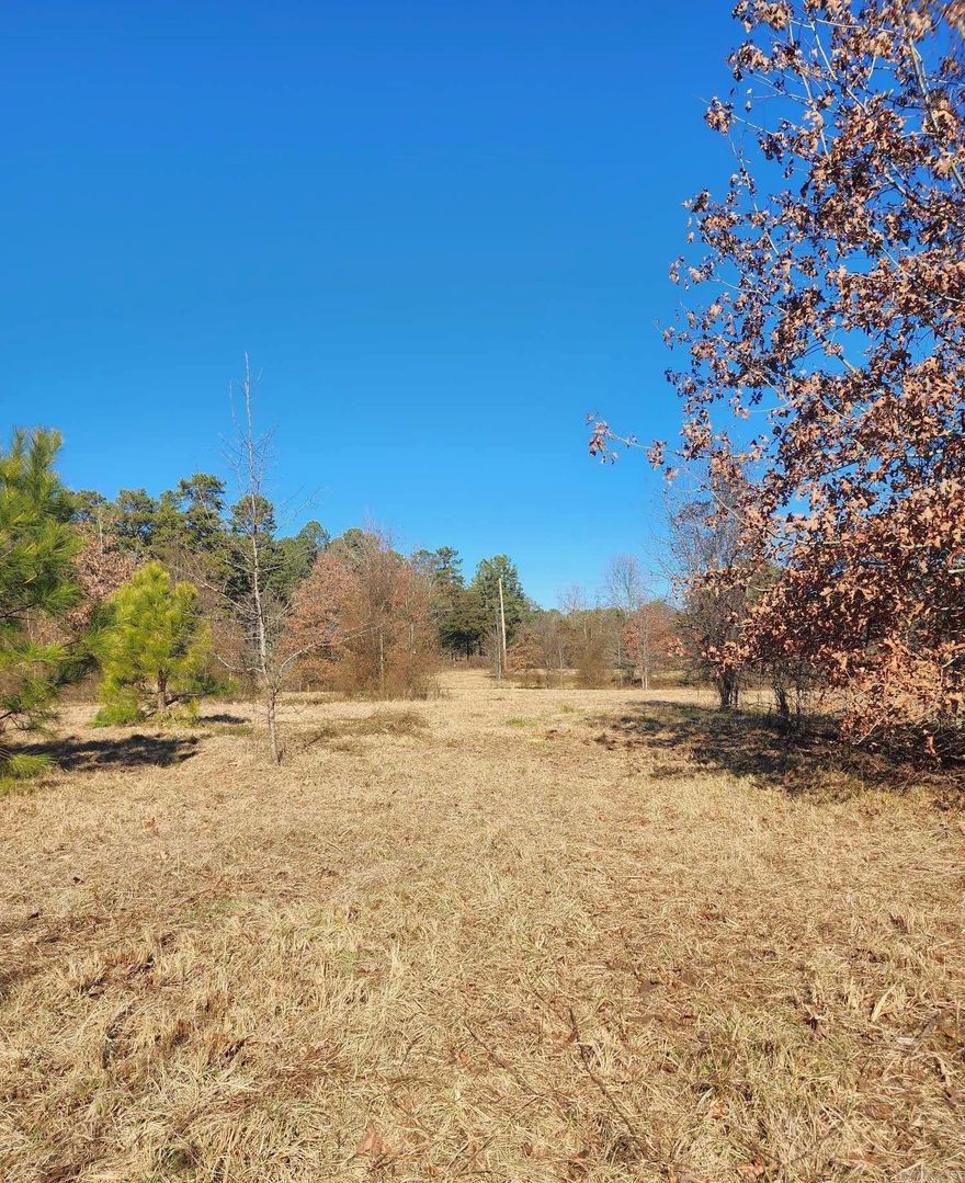 This property's got it all! I mean, prime location? Check. Rural water and electric right there? Double-check. And let's not forget the 360 ft. of Brooks Road frontage. But wait, there's more! How about being just a stone's throw away from Oak Grove Swim Beach at Dequeen Lake? It's practically your own aquatic playground half a mile away! And if that's not enough, there's 200 ft. of tract#4 cozying up to Weyerhaeuser. Oh, and did I mention the cherry on top? Less than half a mile & you've got yourself hundreds of acres of National Forest. Nature's your backyard! Whether you're looking to park your camper and soak in the surroundings or building your dream cabin, this place has got your name written all over it. (Tracts #4 & 5)