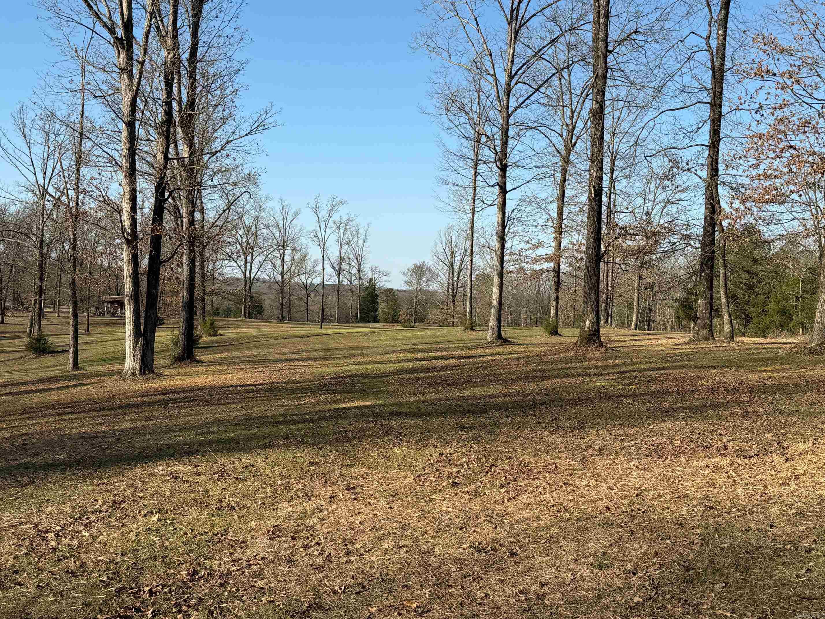 Nice LOT #4 that lies along Polk Road 168 with a Good Building Site! Rural Water and Electric runs along Polk Road 168. Restrictions Apply. LOT #4 to be surveyed for correct legal description and acreage. LOT #4 is in the NEW Iron Mountain Estates! More Lots are available if desired