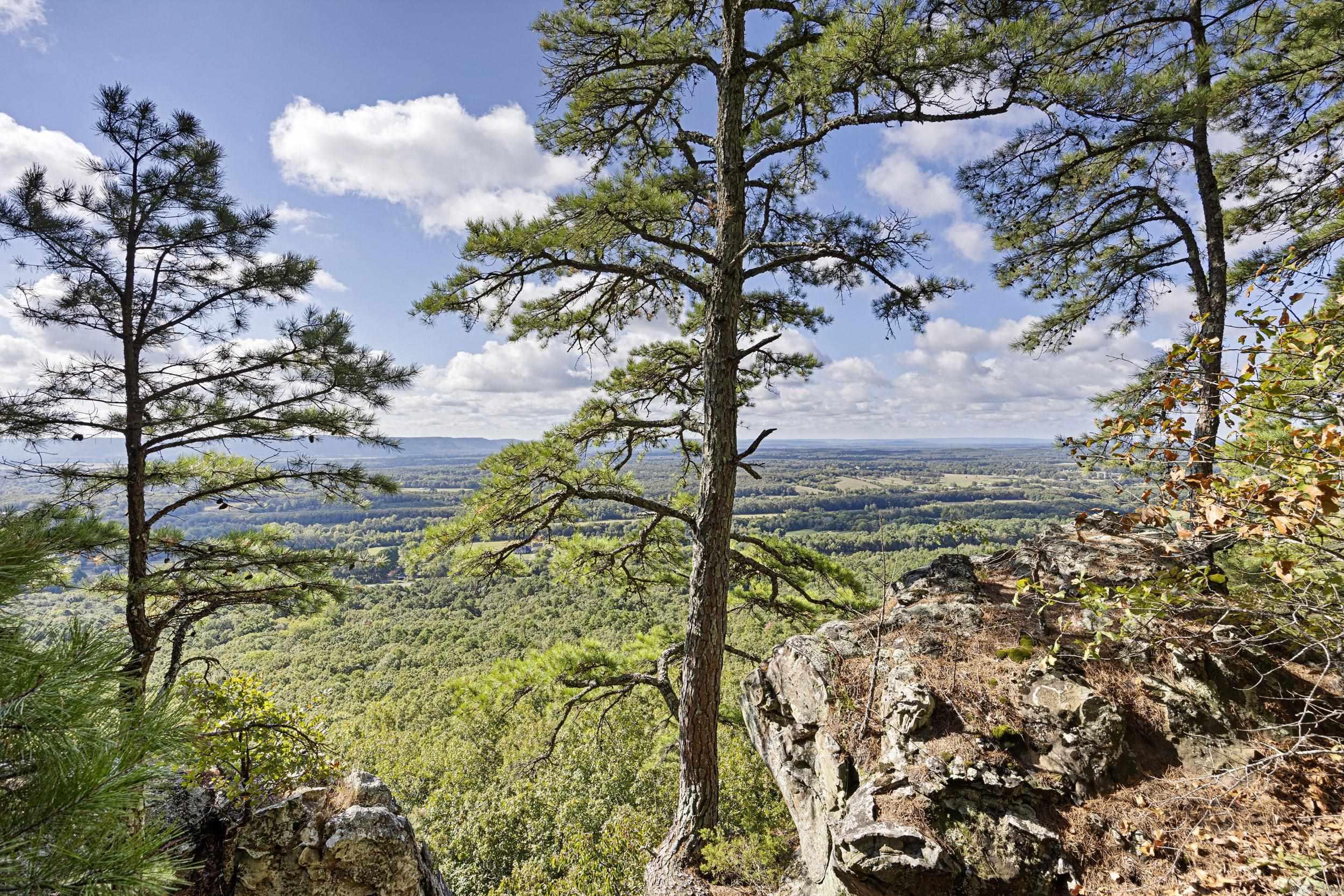 Bluff View - Land