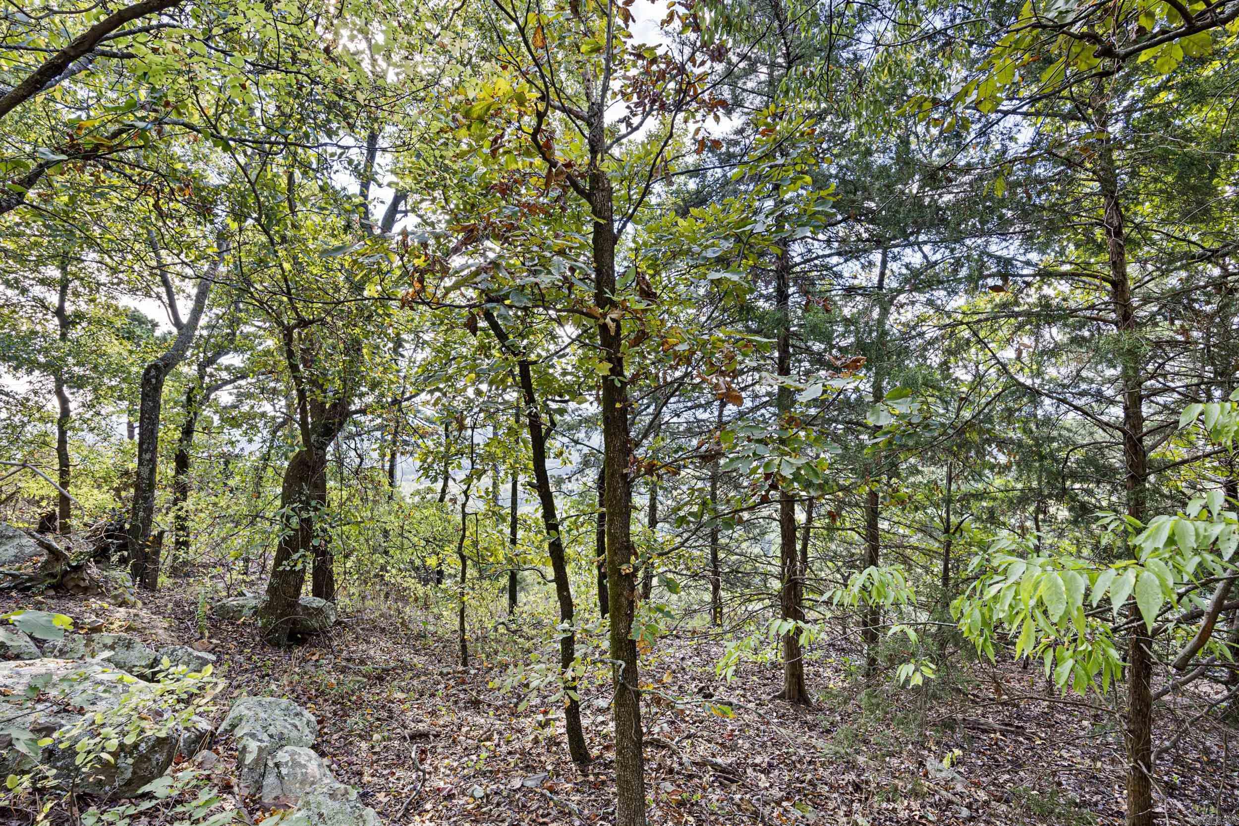Bluff View - Land