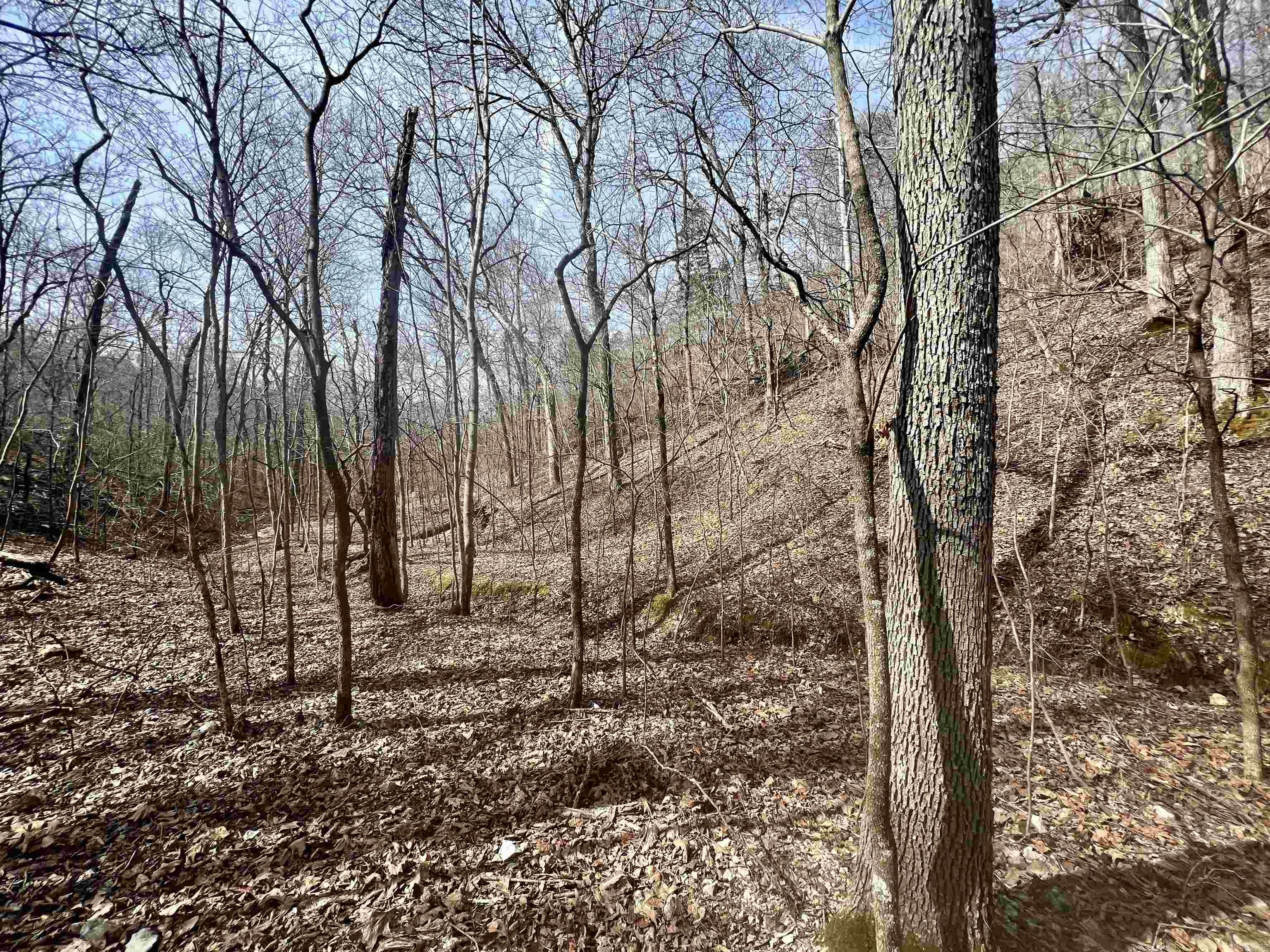 Not in Subdivision - Land