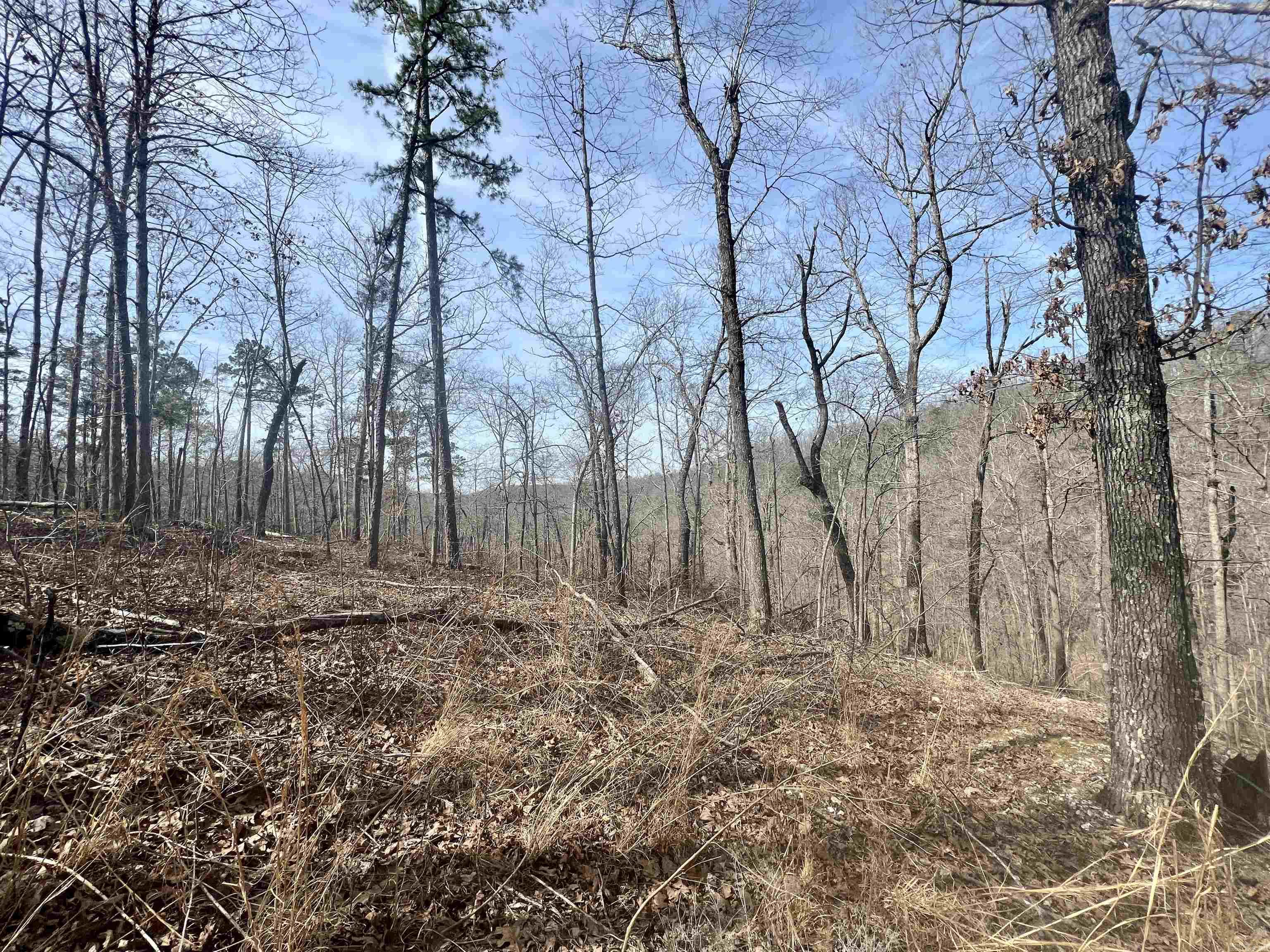 Not in Subdivision - Land