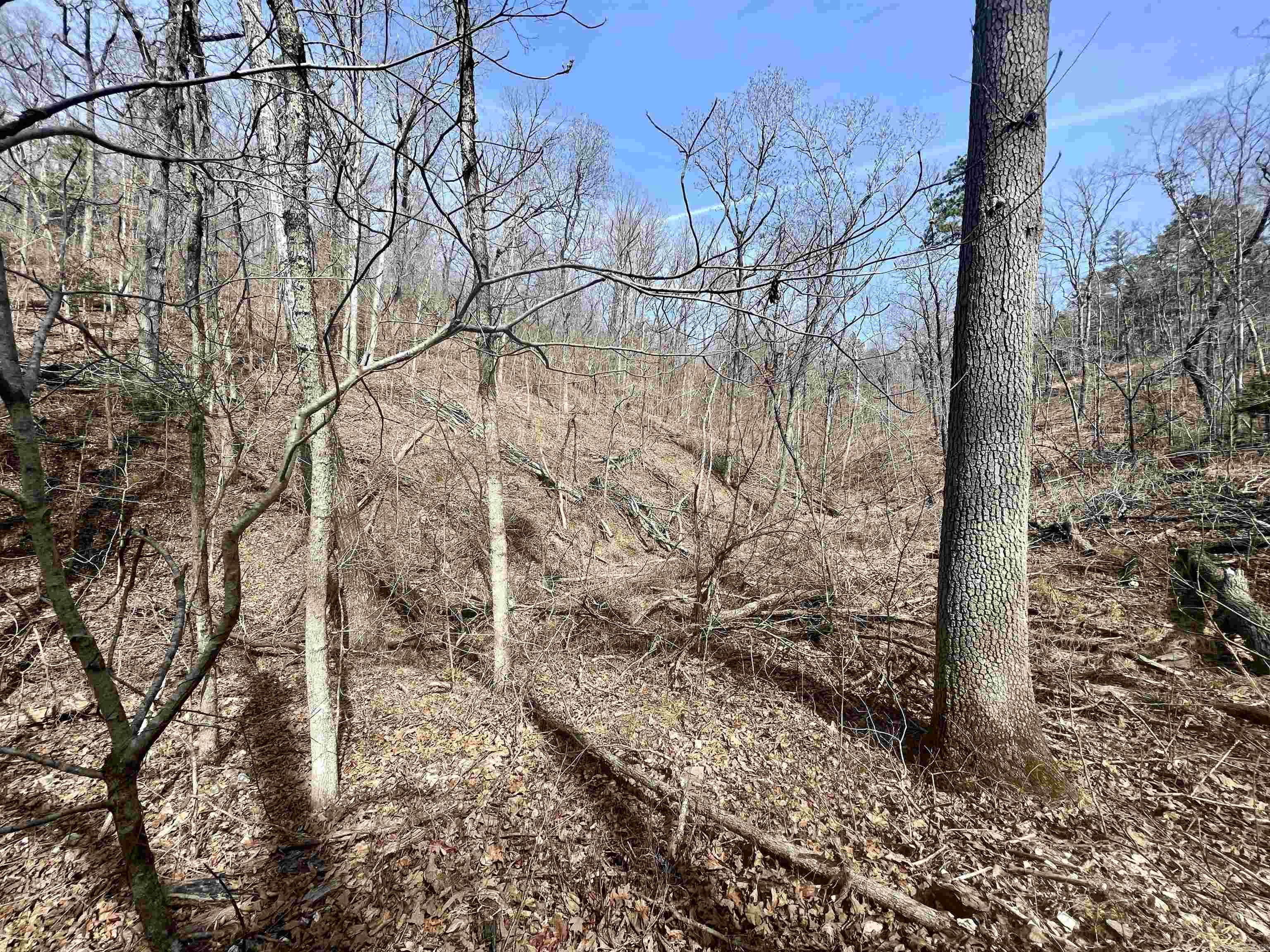 Not in Subdivision - Land