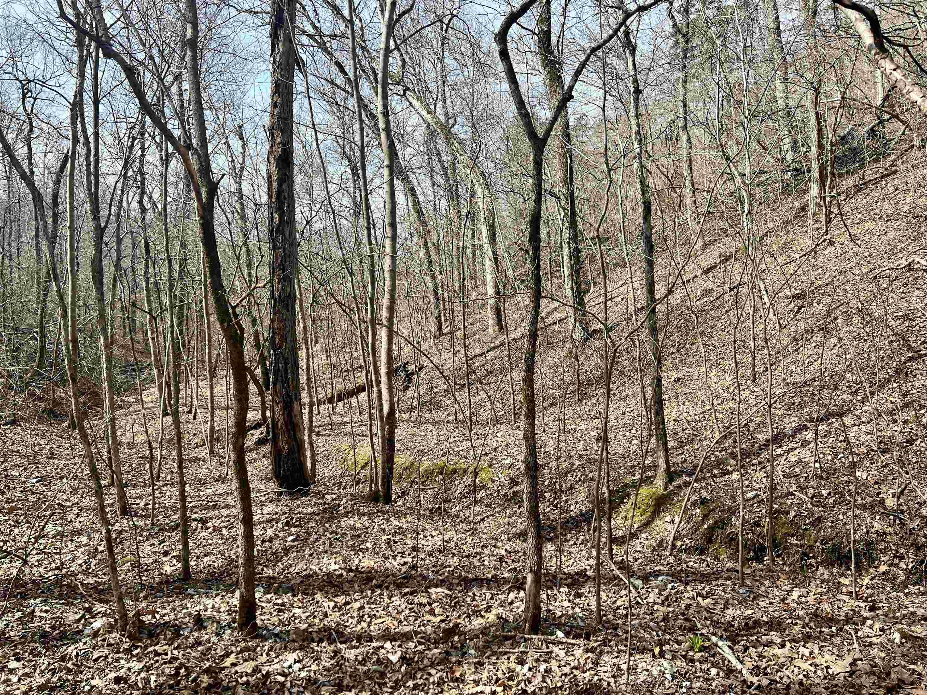 Not in Subdivision - Land