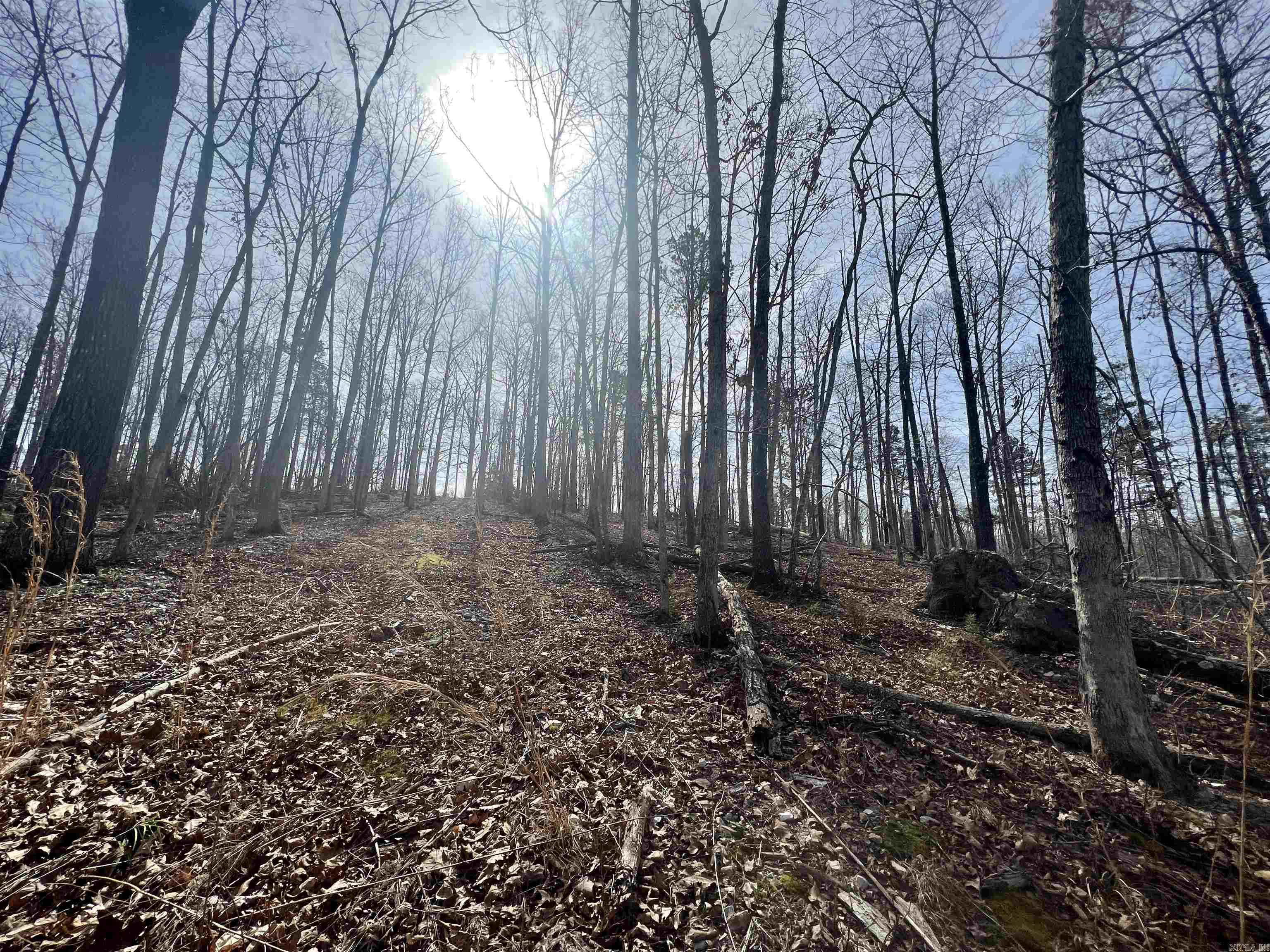 Not in Subdivision - Land