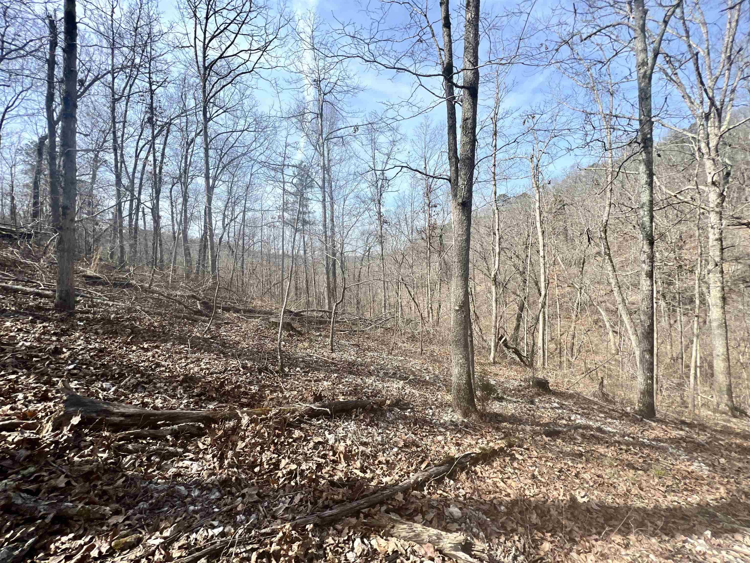 Not in Subdivision - Land