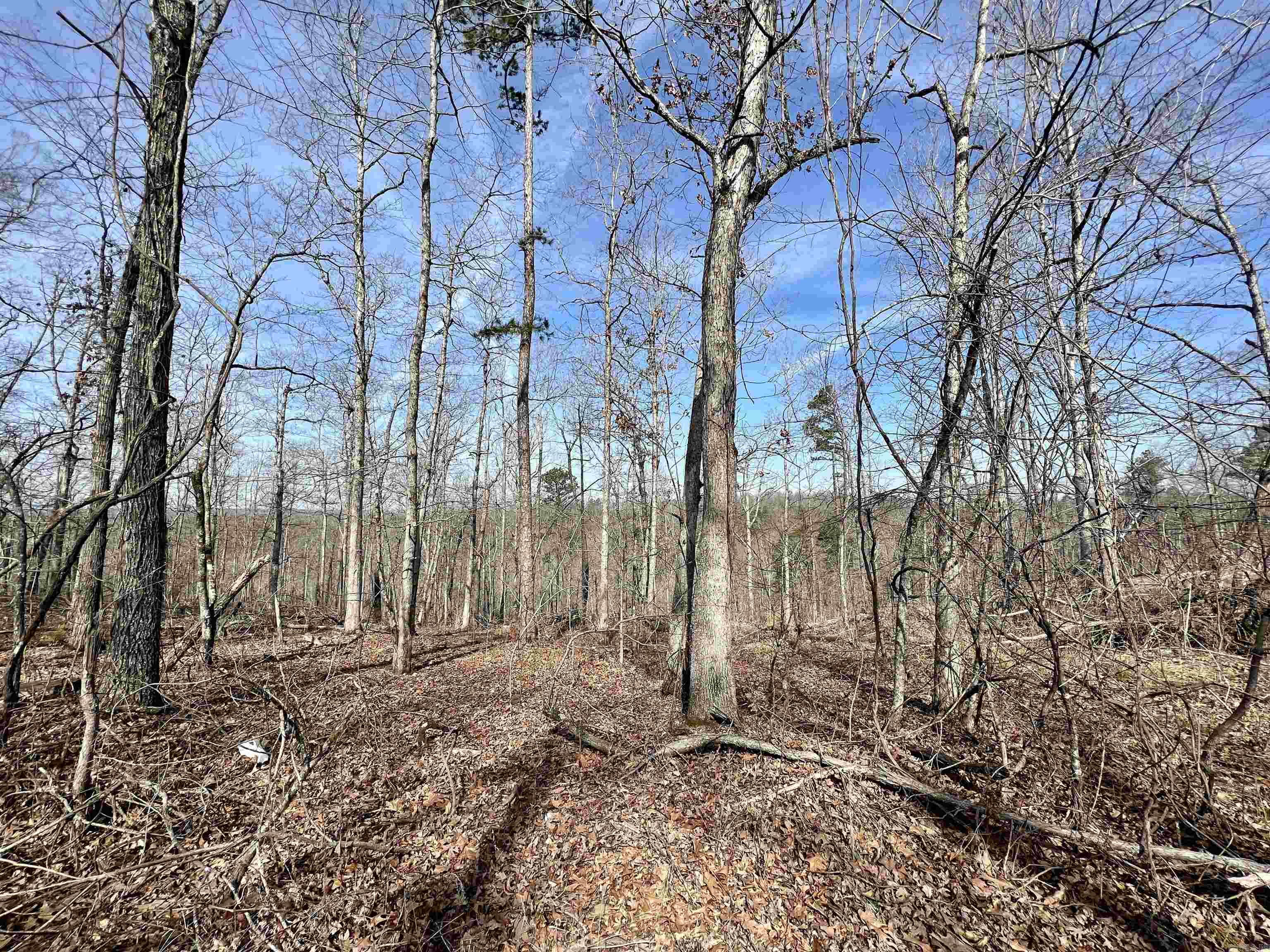 Not in Subdivision - Land