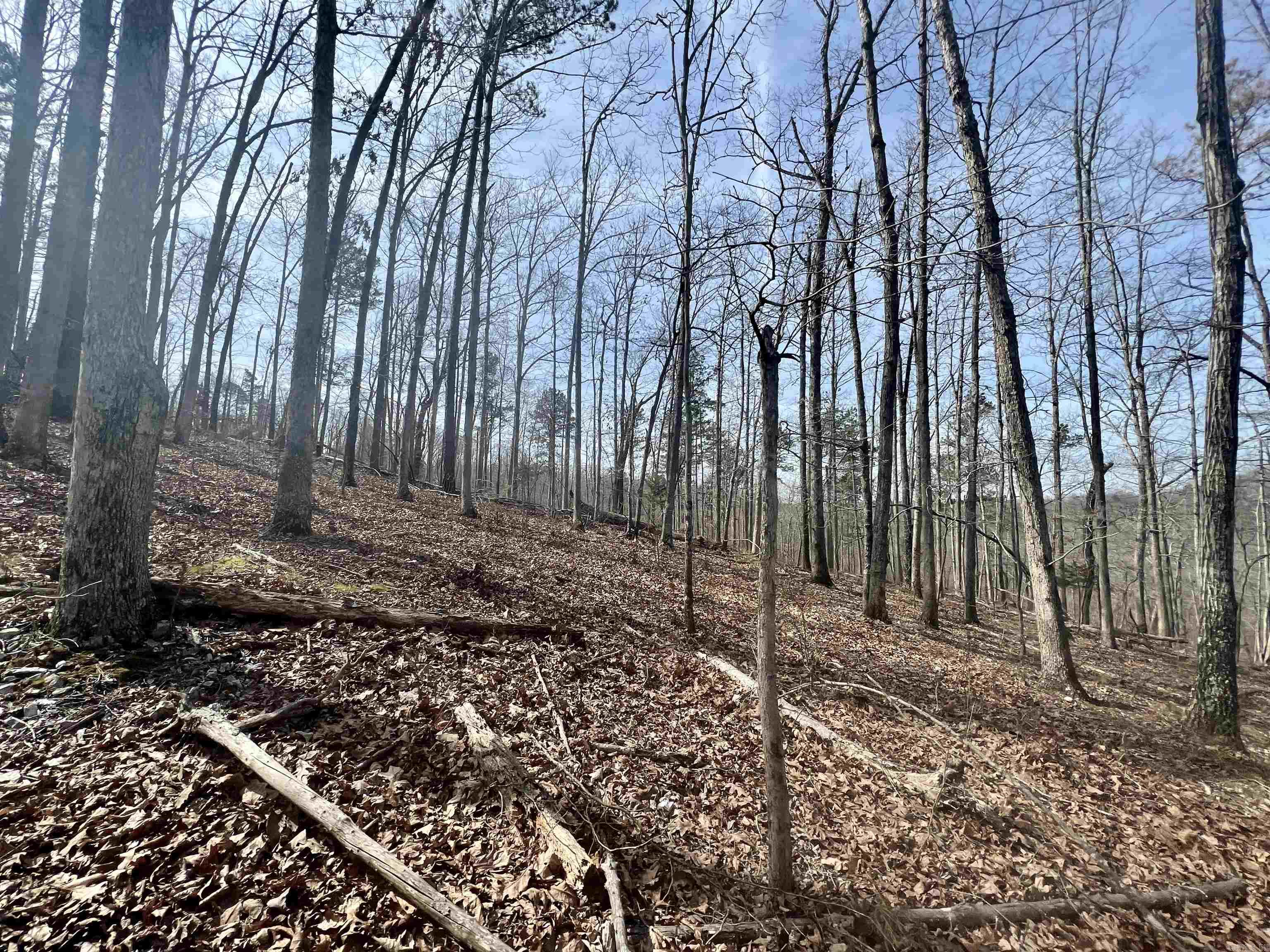 Not in Subdivision - Land