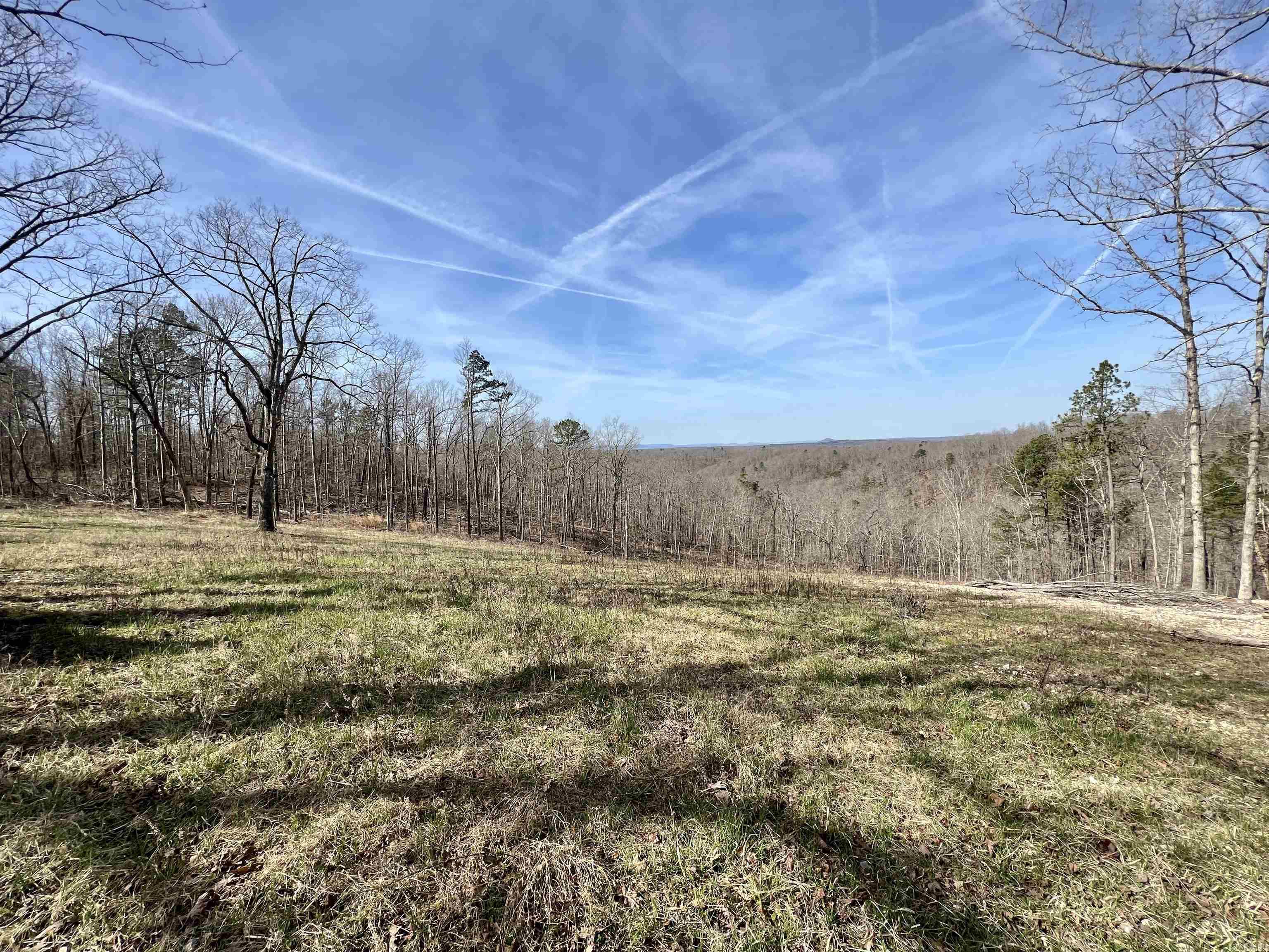 12acres m/L. Unrestricted, and joining Buffalo National Park Service. Located less than ½ mile down gravel road, and within 2 miles of river access. Power along road at property. Great South West views for miles and an old house site with a hand dug basement and well. The options are endless on this one!